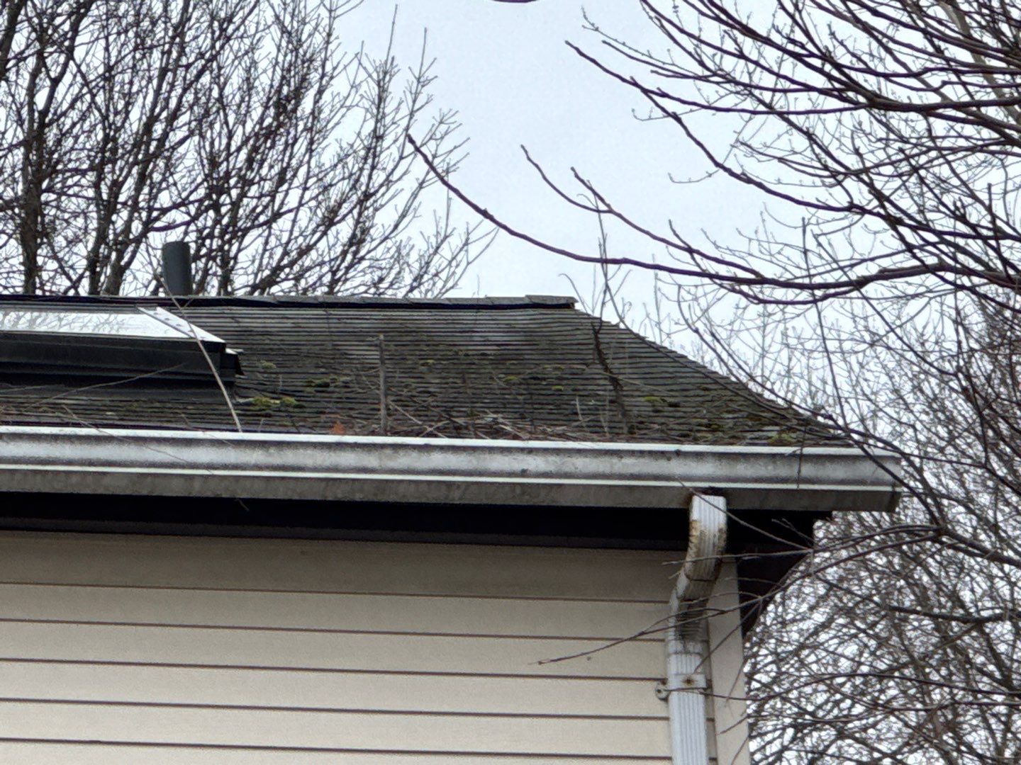 Full Roof Replacement with Skylight Removal for Winter Protection by Sensible Home Solutions