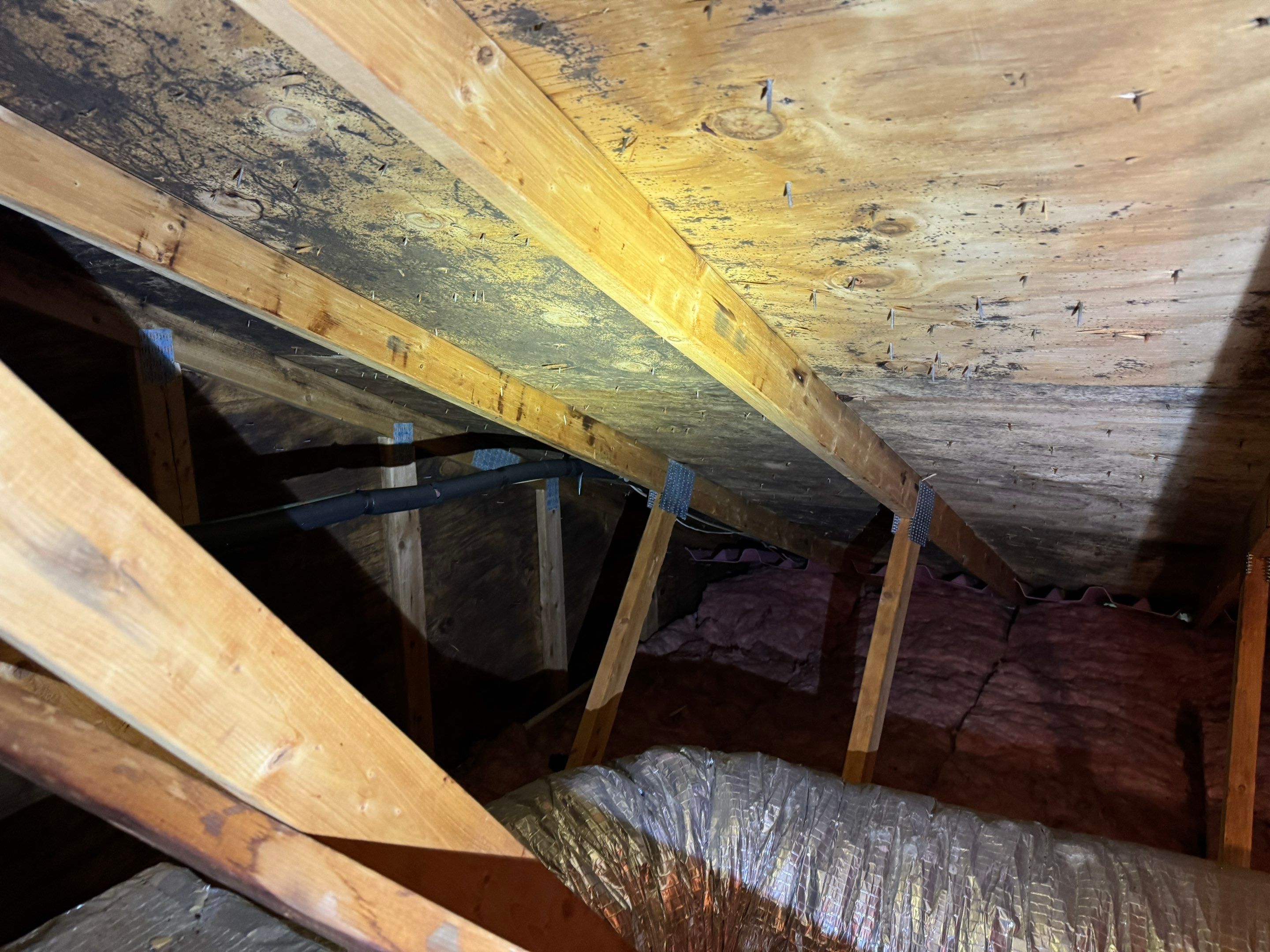Attic Mold Remediation by Home Guarantee, LLC