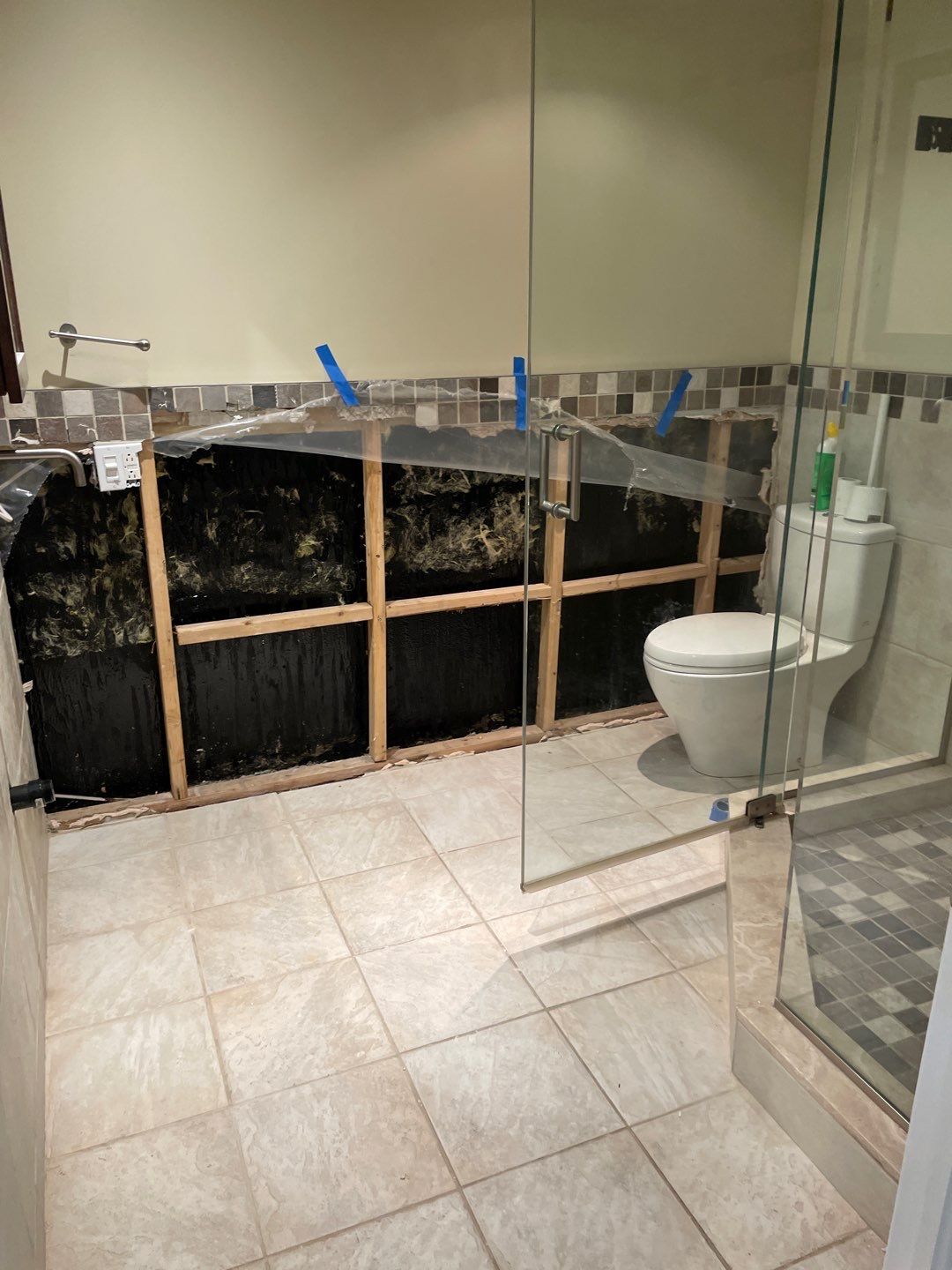 First response basement flood by Eco-Nature Construction Inc.