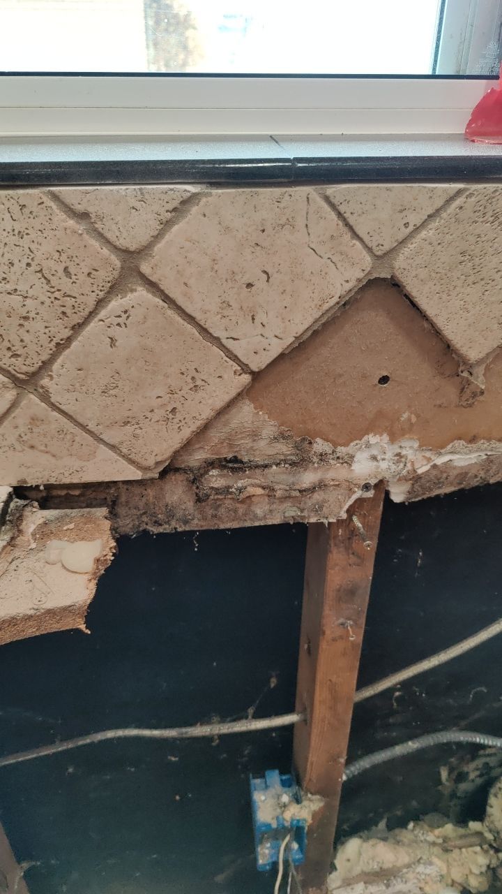 Mold Damage by Accountable Home Services