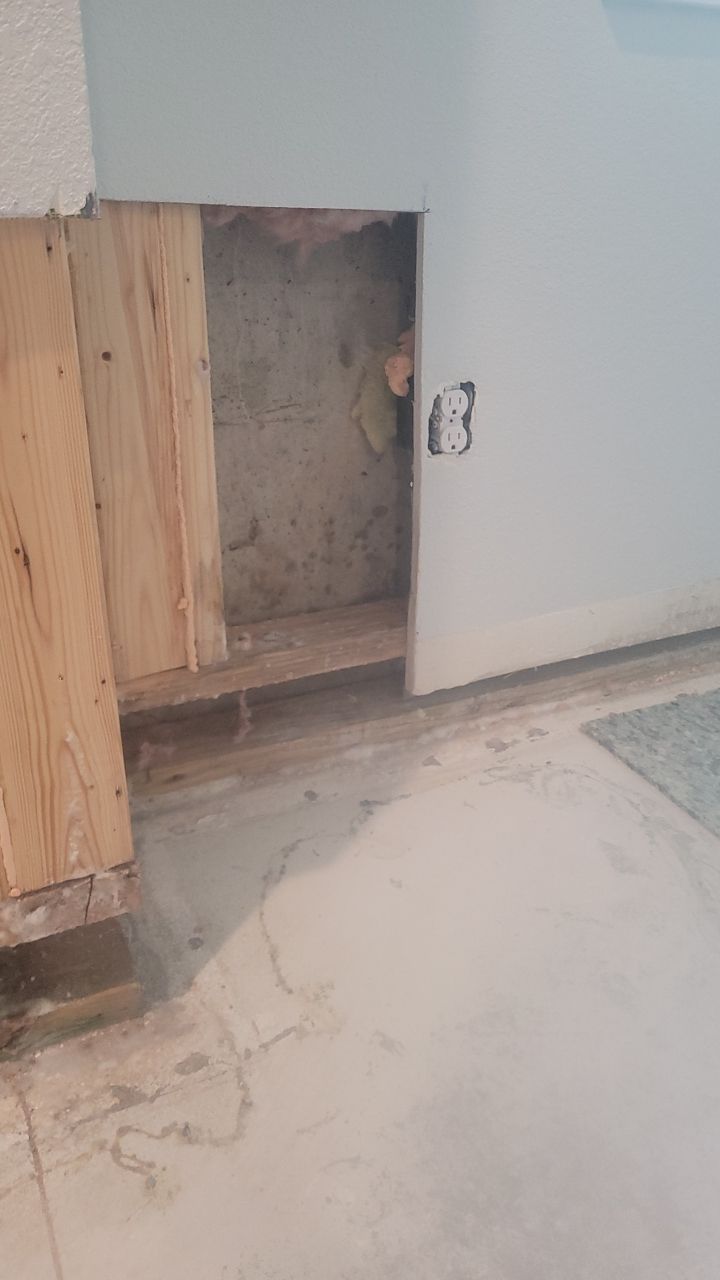 Mold Remediation  by Accountable Home Services