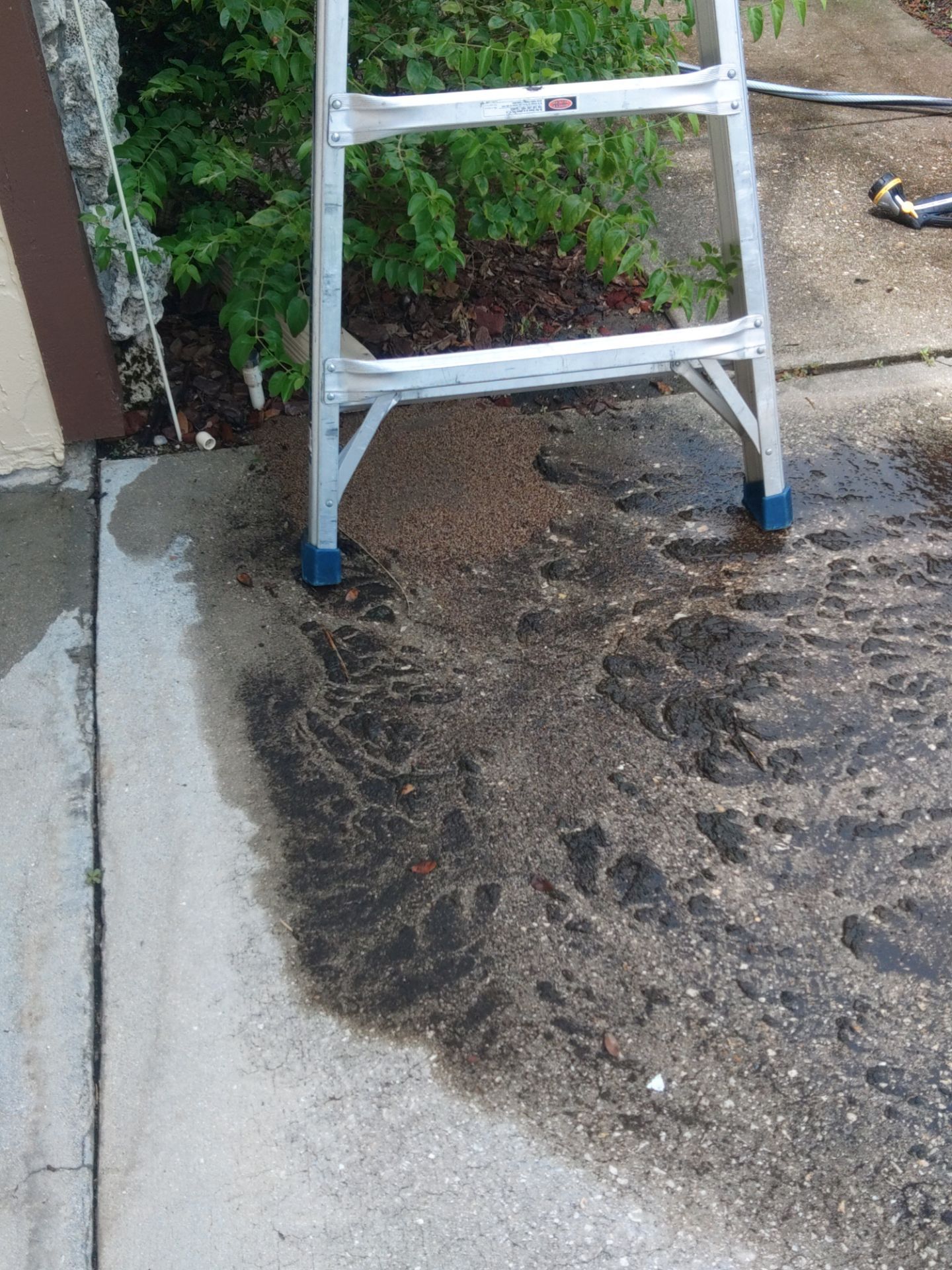 Gutter cleaning in Sarasota, FL is essential for keeping your drainage system working properly by Gutter Professors