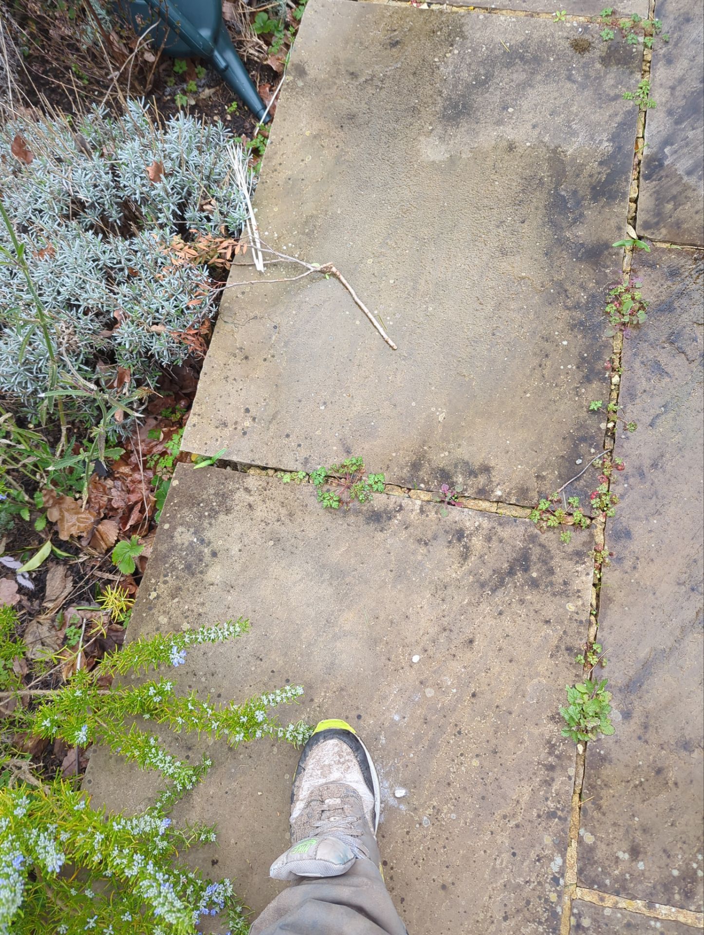Patio Area Spring Clean using Mosmatic Flat Surface Cleaner by Ges Exterior Cleaning ltd