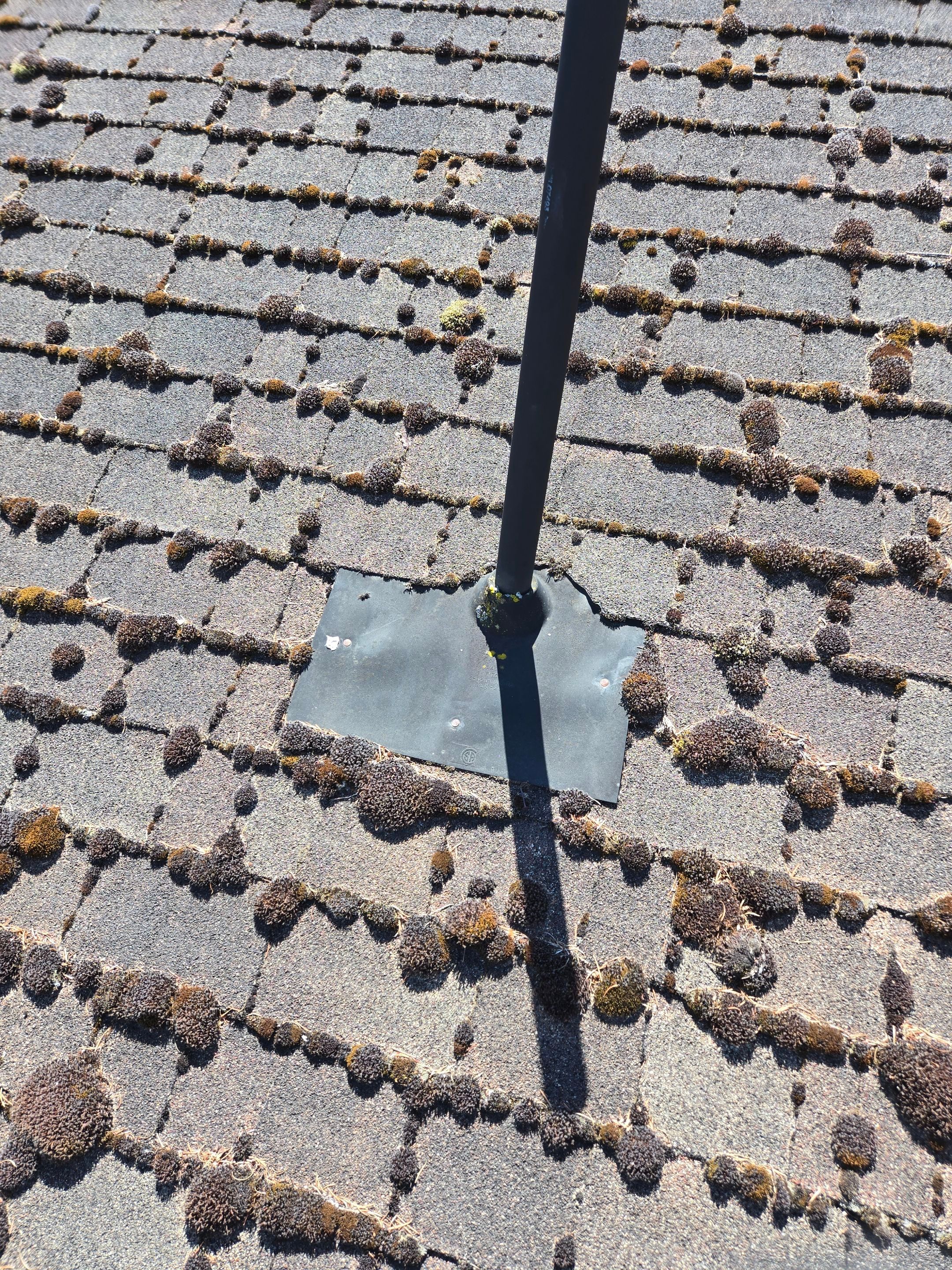 Residential Reroof Shingle - Barkwood by Top Notch Roofing Inc