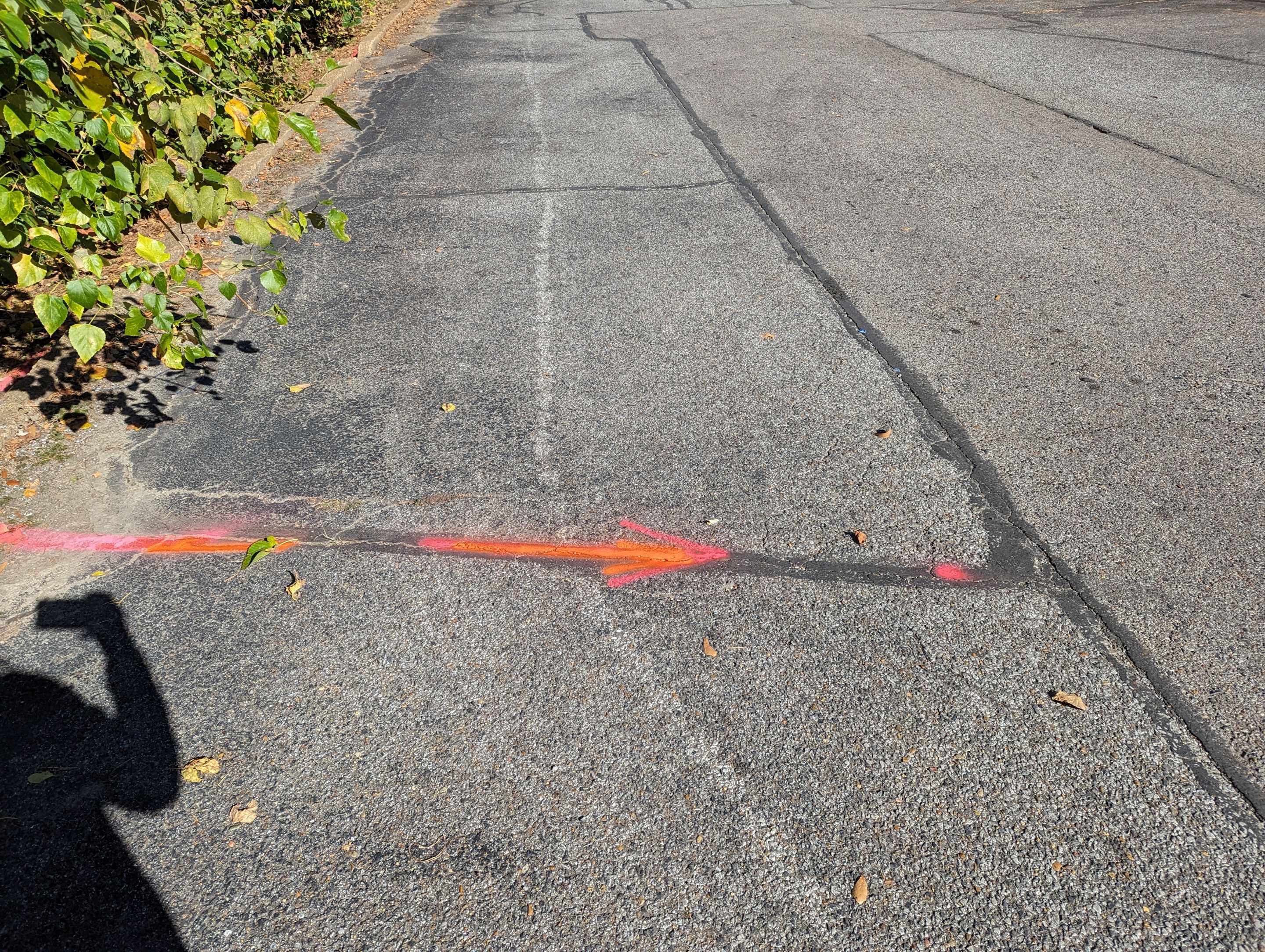 Utility Locating and Verification for Survey Crew by Alsip Locating Service, LLC