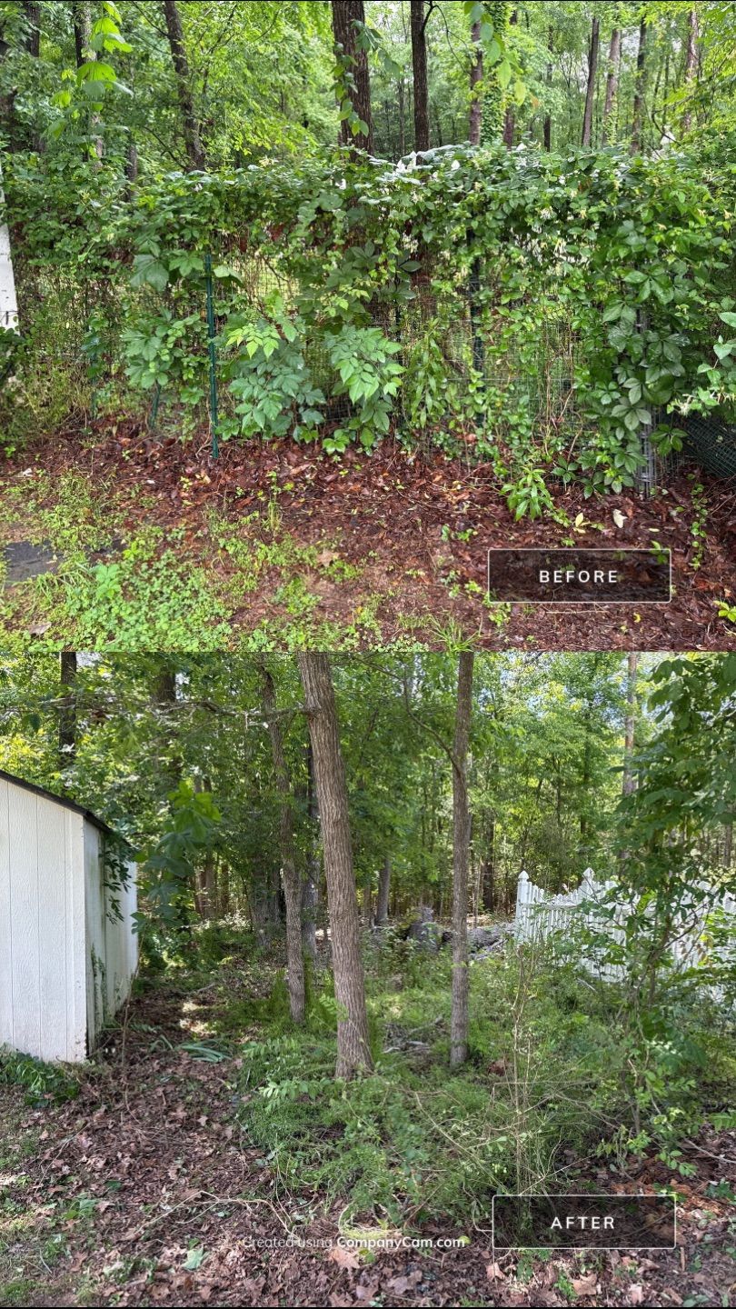 Project in Mint Hill by Badger Hauling