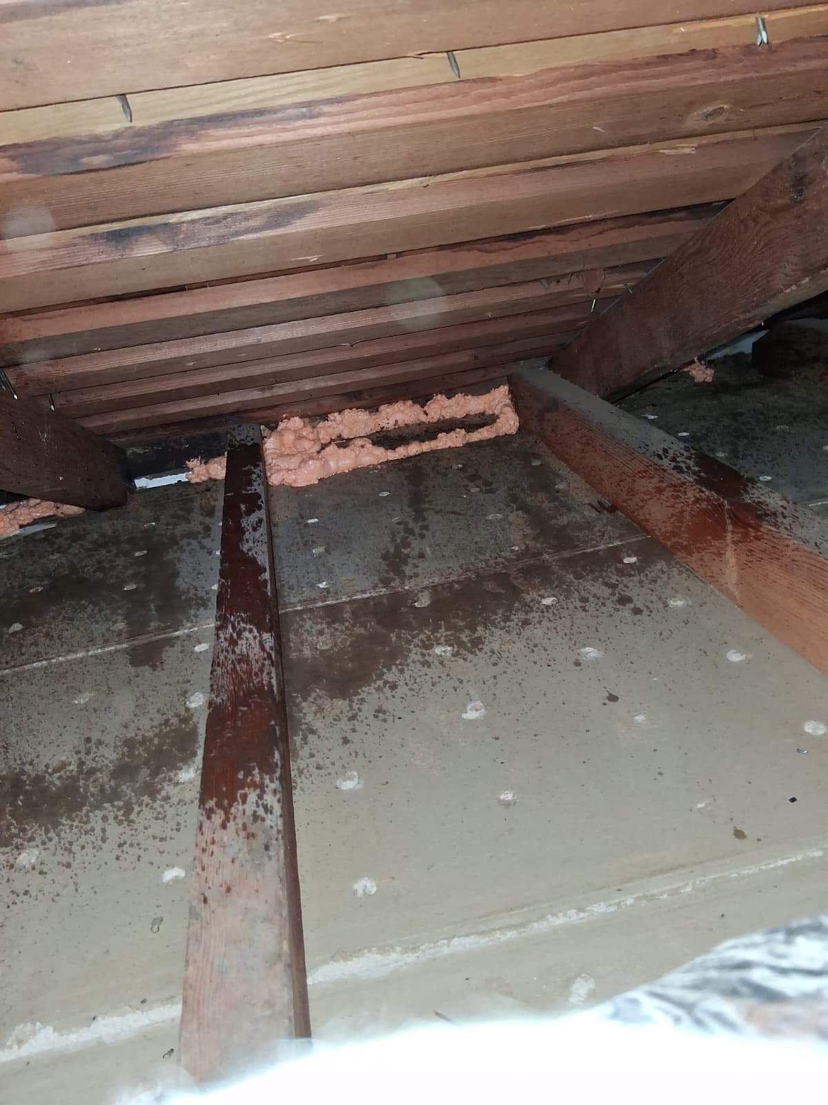 Project in Newport Beach by Advanced Attic Solutions