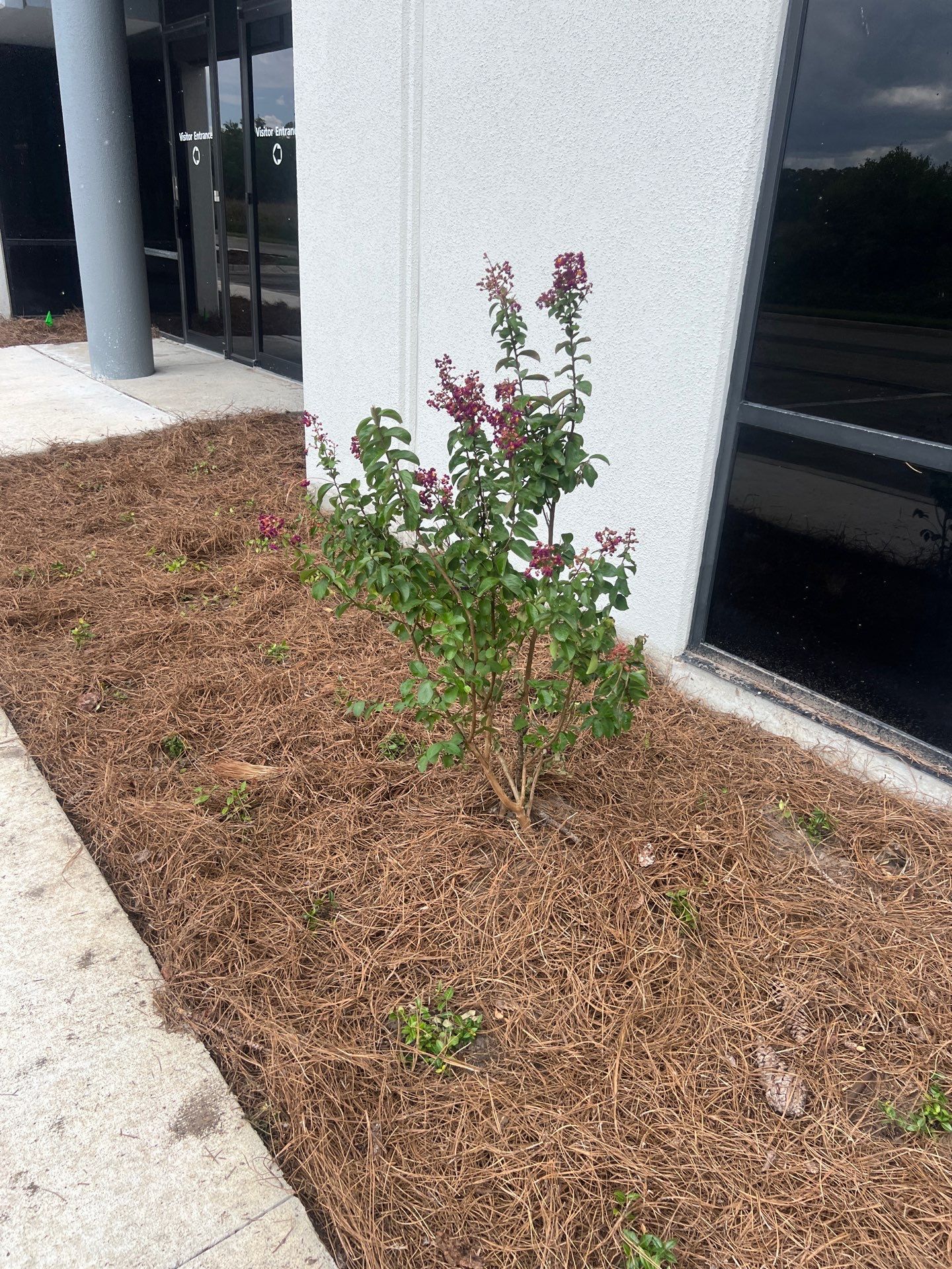 Large Landscape Project | Center Point by ProGreen Services