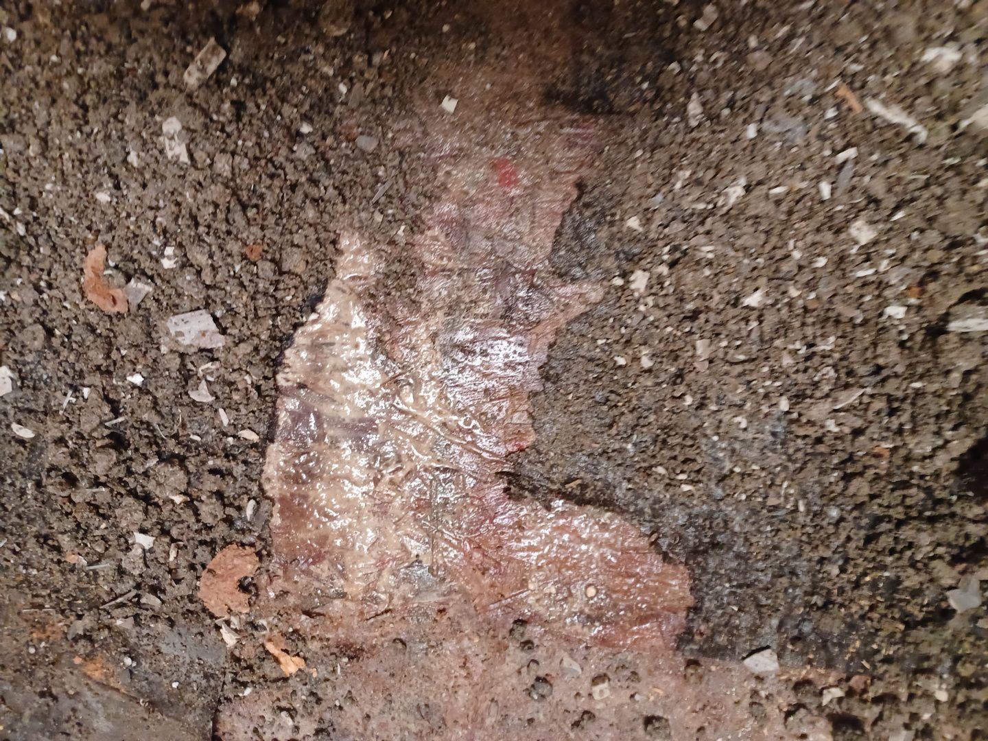 Project in Commerce Charter Twp by EzDry Water Mitigation & Property Restoration