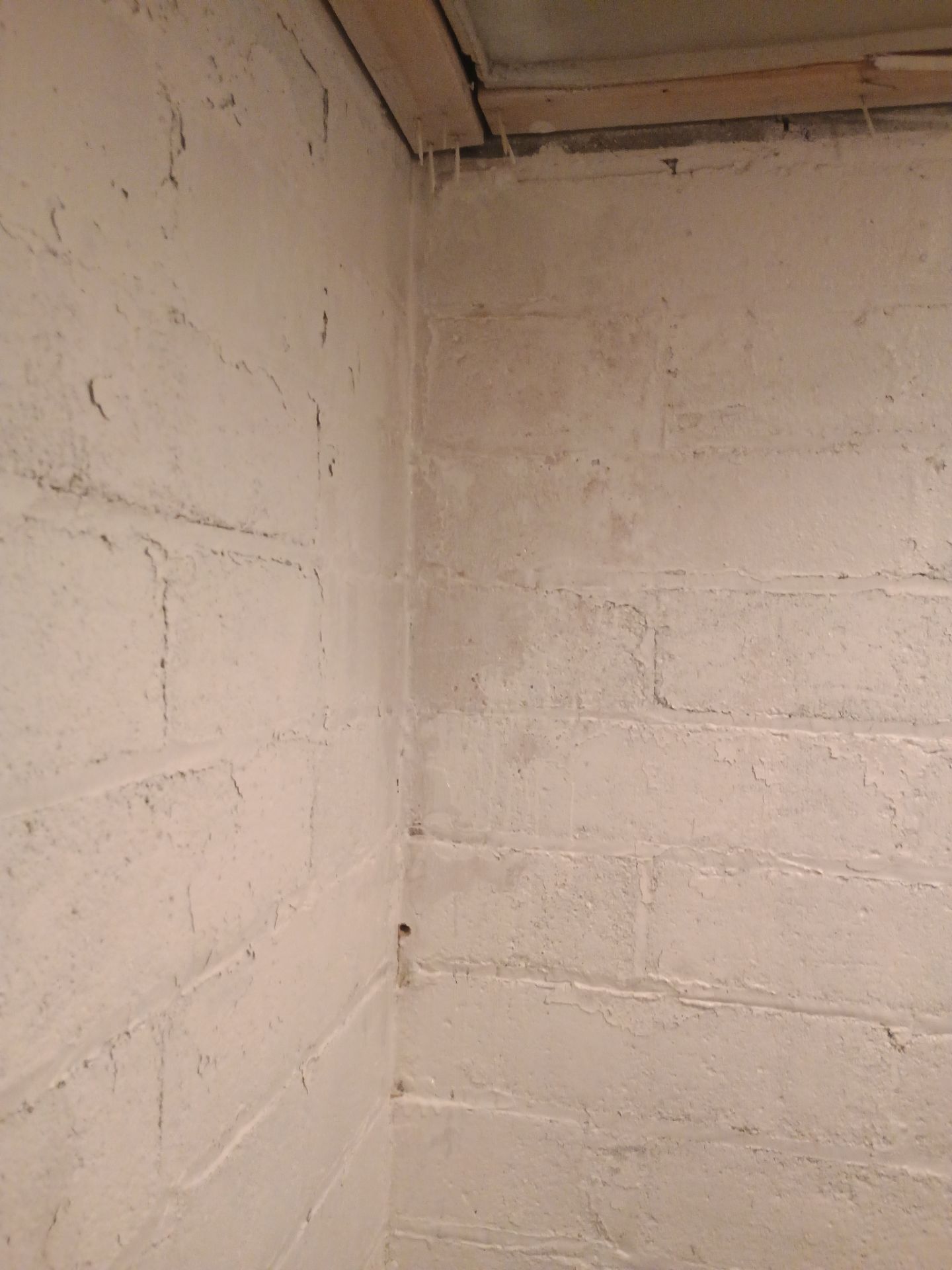 Investigating Groundwater Issues for RJ & Sally by Waterproofing Northeast