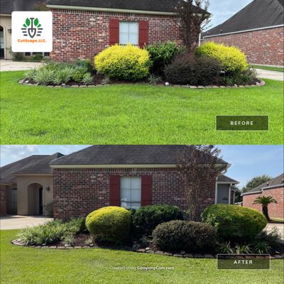 HEDGE TRIM / BED CLEAN / MULCH INSTALL using BROWN MULCH "BARK BRITE"
