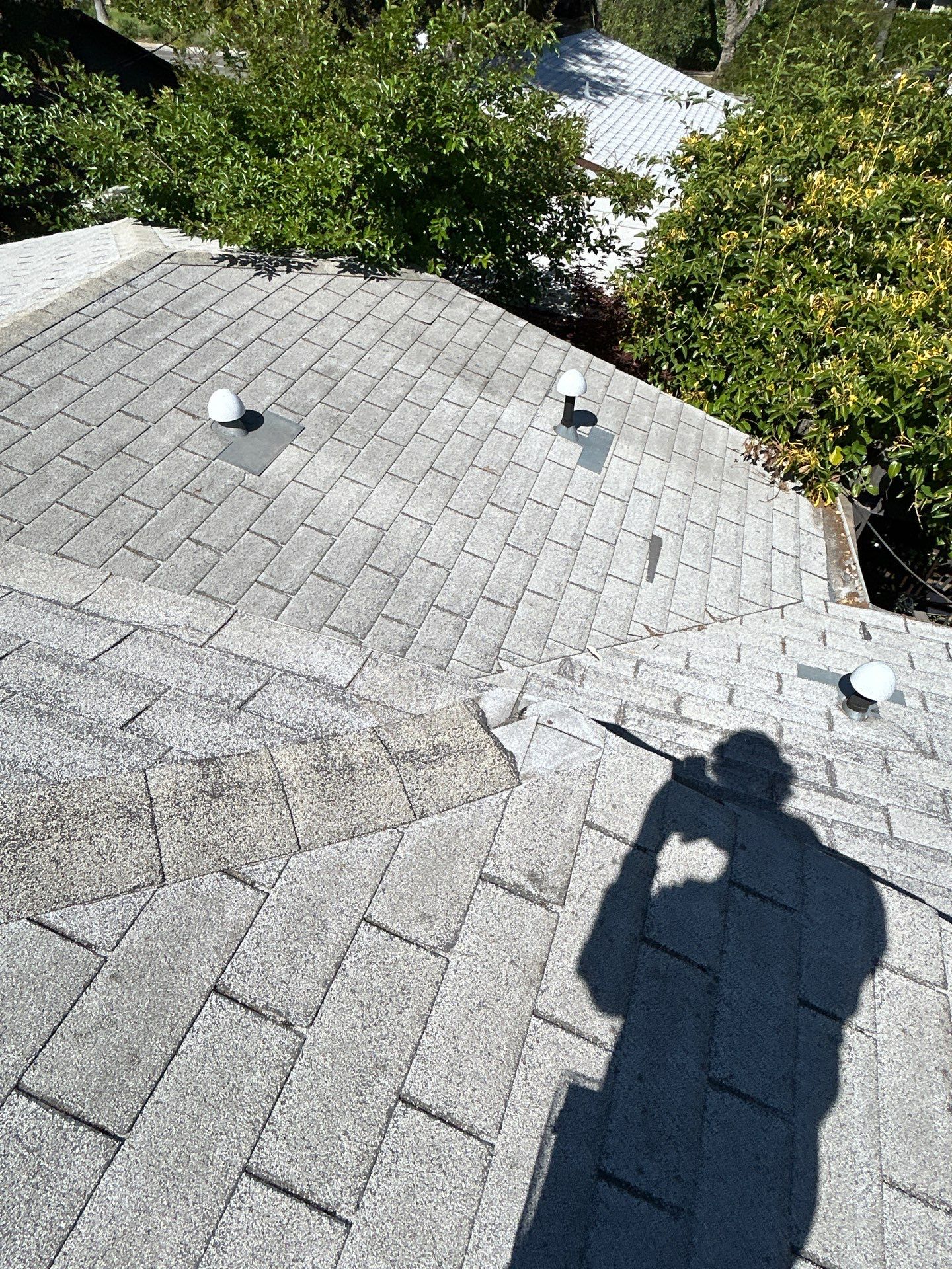 Residential Reroof Project: Composition Shingles by Hull Brothers Roofing