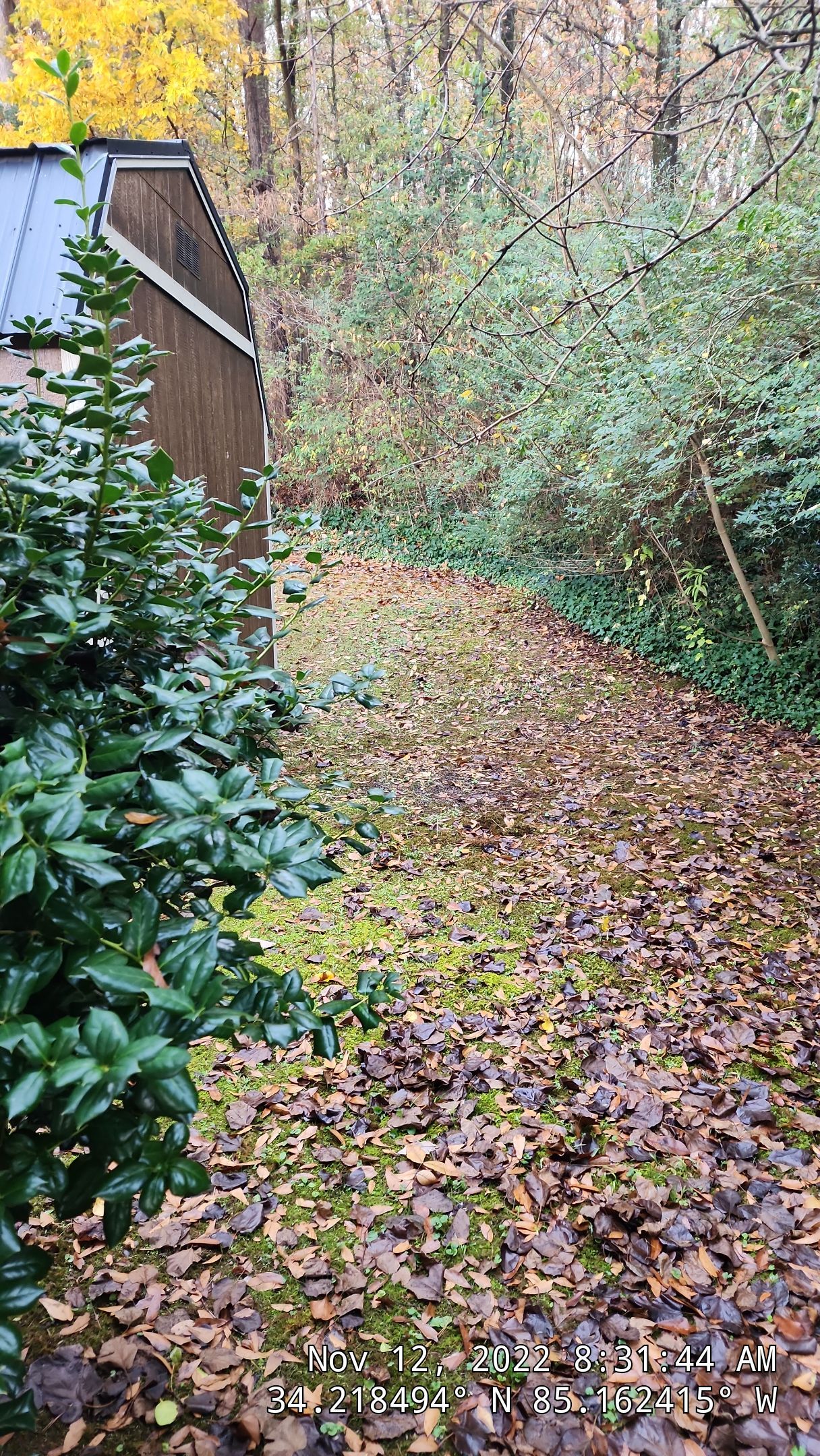 6' Wood Privacy Fence with Top Cap by Titans of Timber Fence & Stain