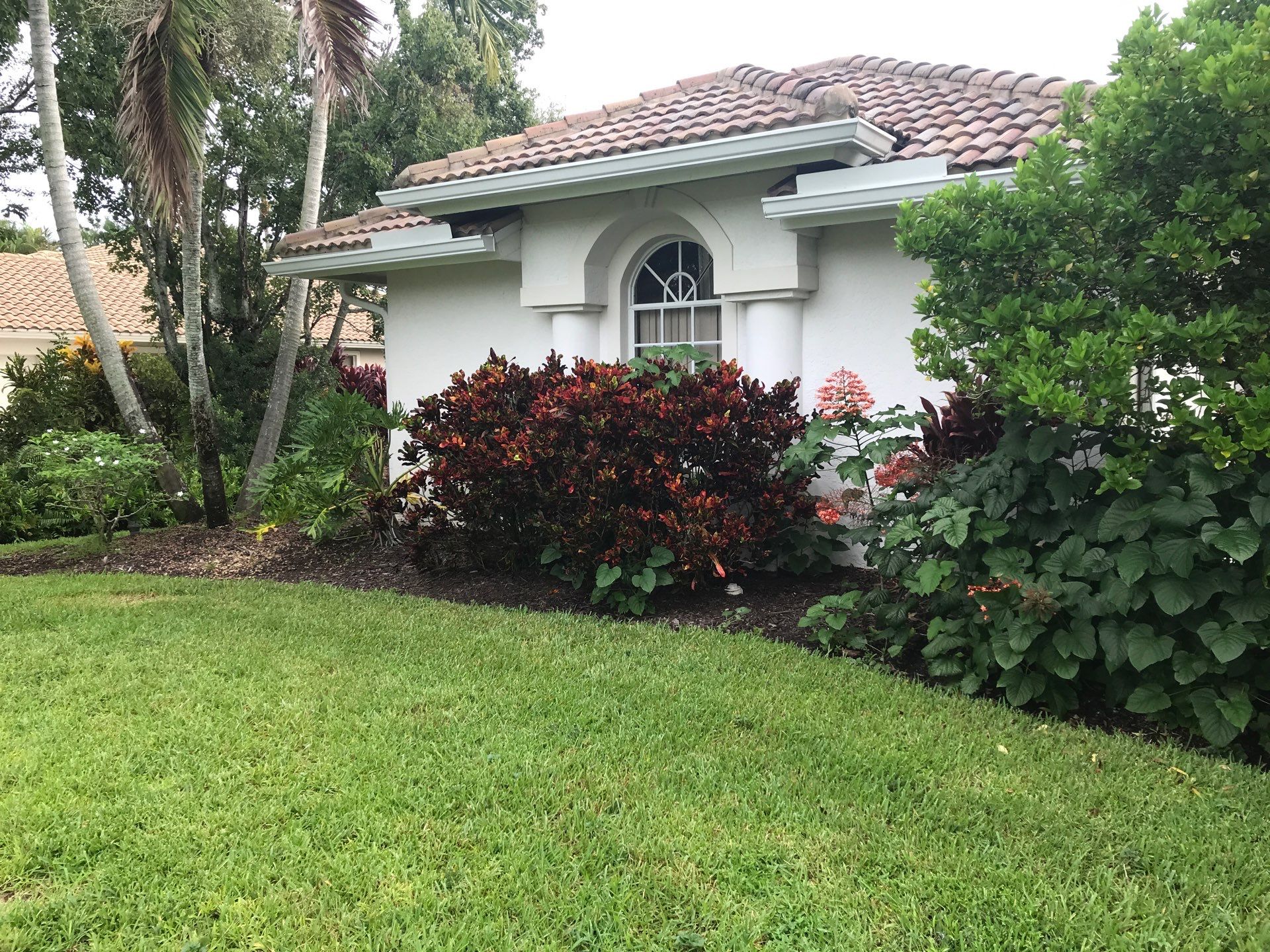🌴 Landscape Removal and Install in Palm City by Alpha Zeta Enterprises Inc