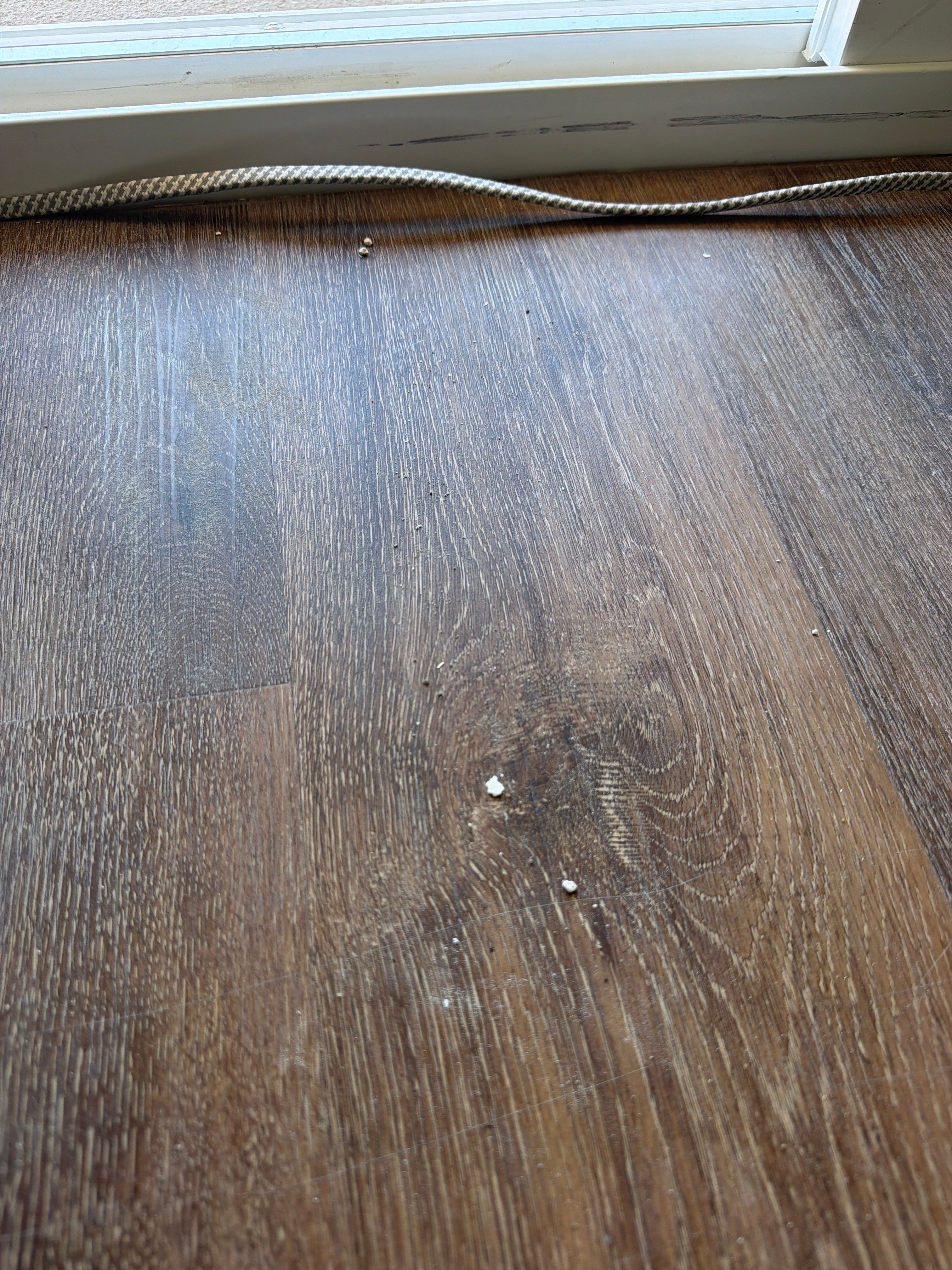 Project in Alameda, CA by Tuclean Commercial Services 