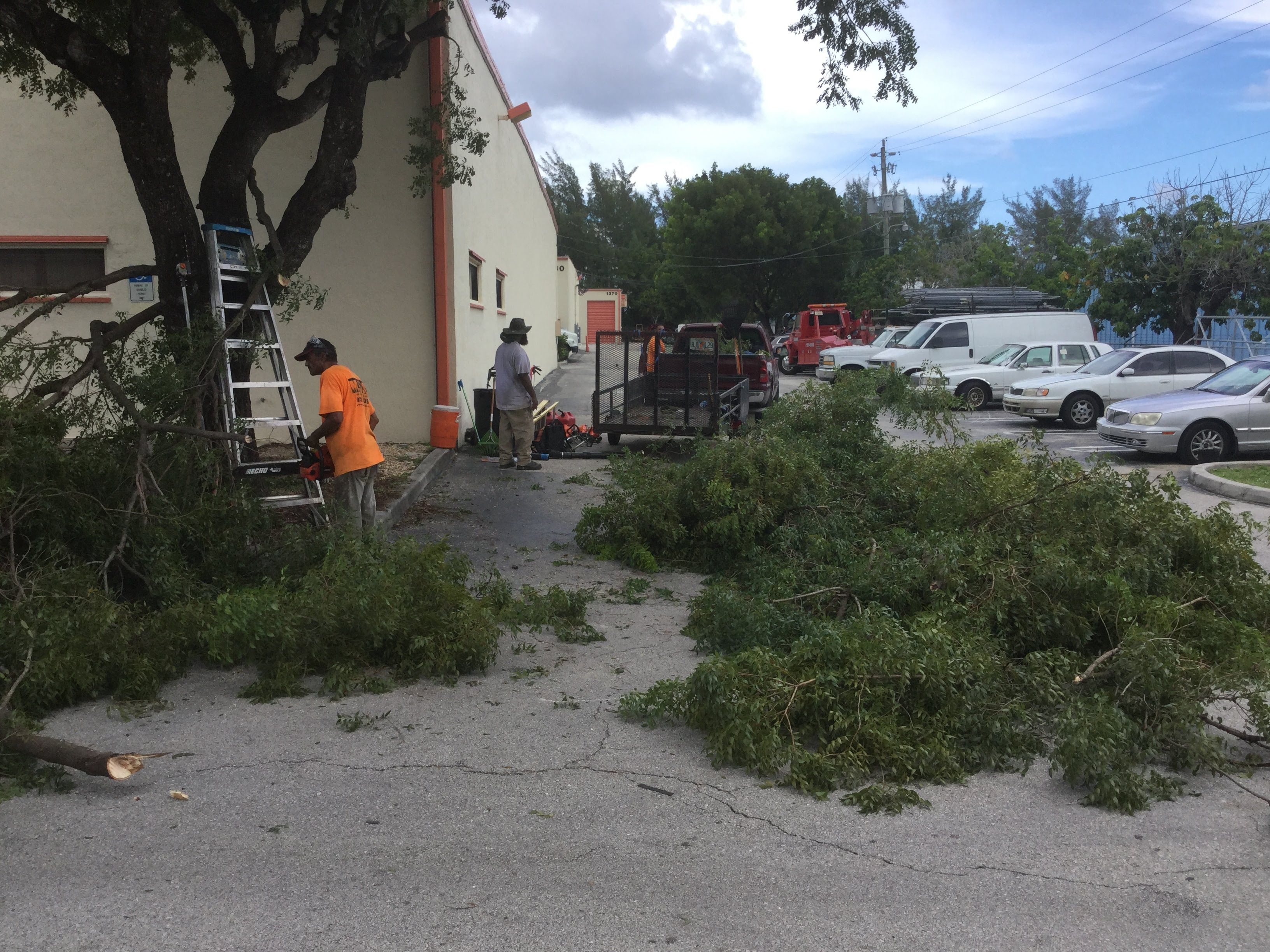 Commercial Tree Trimming & Debris Removal by
M.A.B. Landscaping & Property Maintenance
