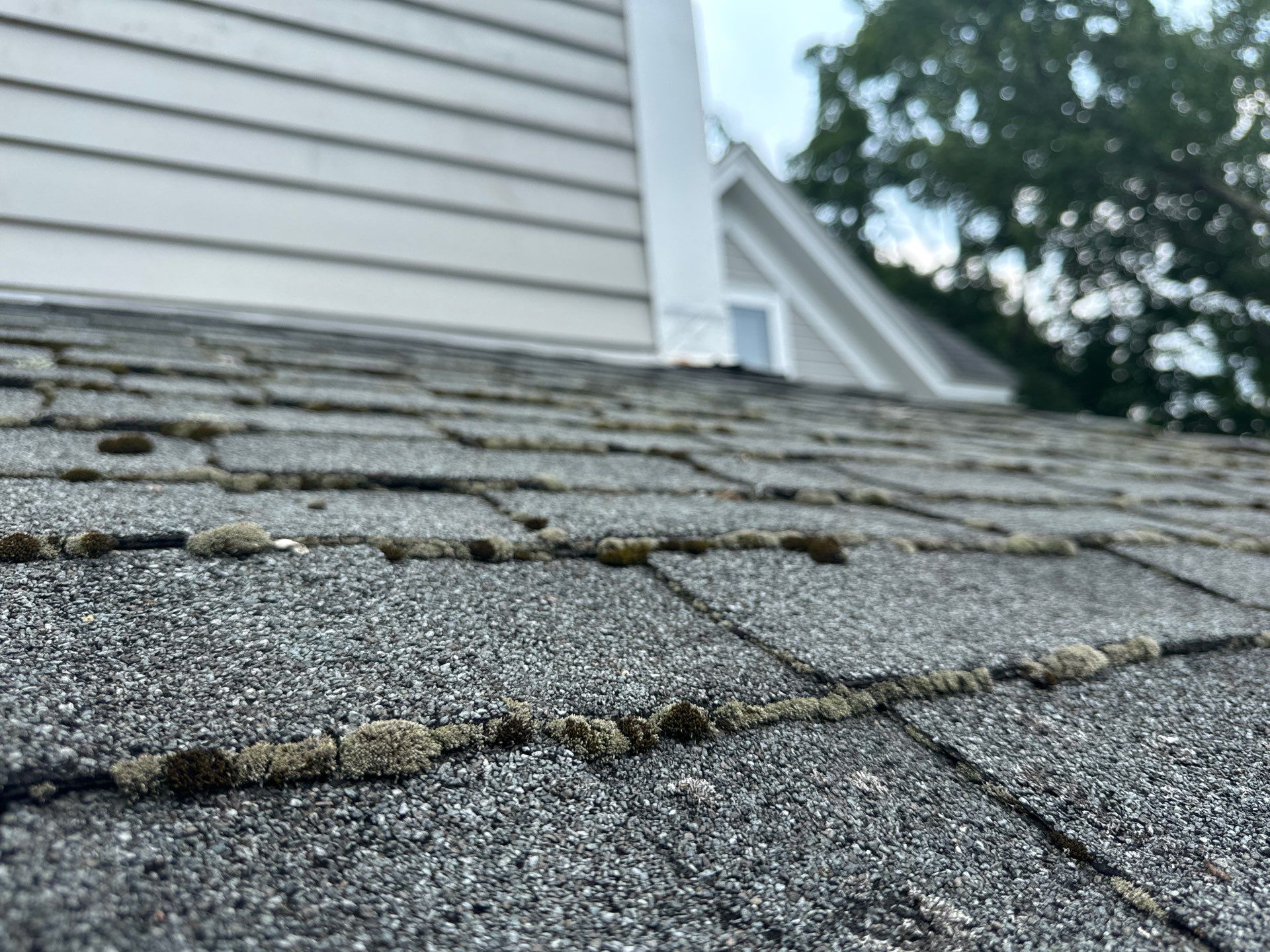 Roofing | Concord by Mighty Dog Roofing of Greater Middlesex County