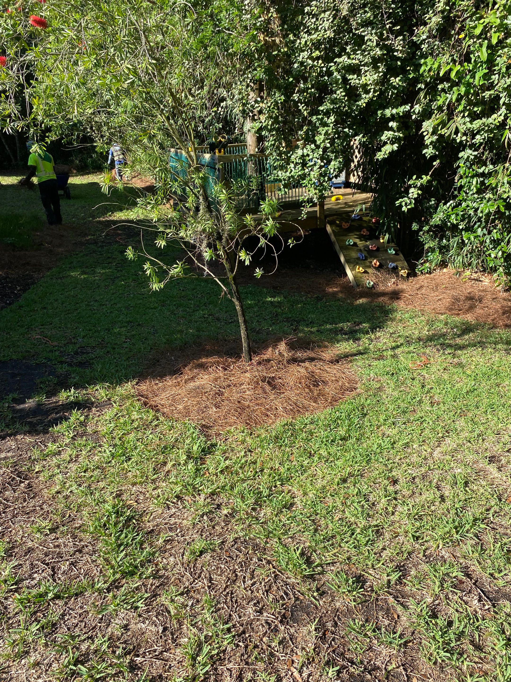 Deerwood Resident | Pine Straw & Topsoil Install by ProGreen Services