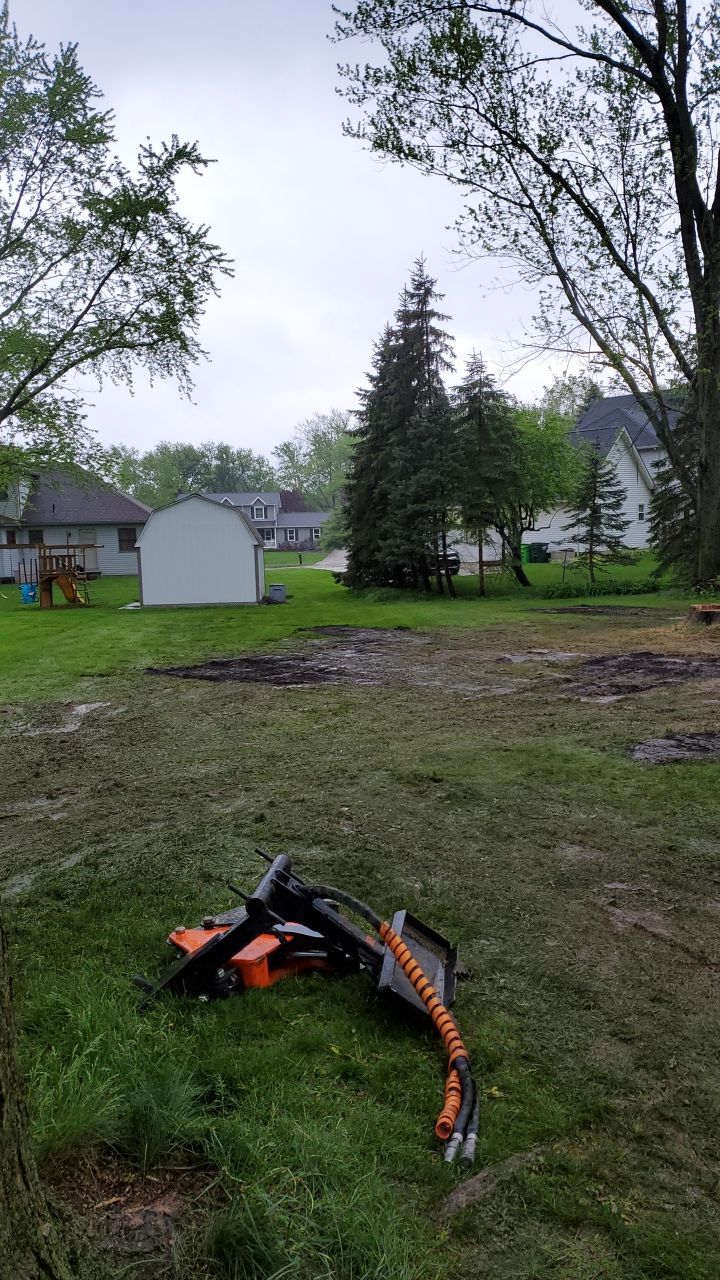 Tree Removal using Tree Removal by Mike Jones & Sons Tree Service LLC 