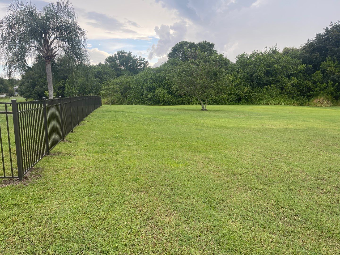Parrish, FL 4ft. Tall Black 3-Rail Aluminum Fence by Asap fence and gates, LLC