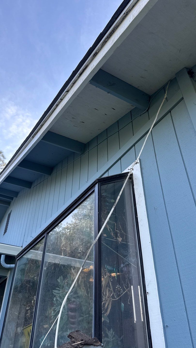 Project in Calfax  by NuLead Construction Inc