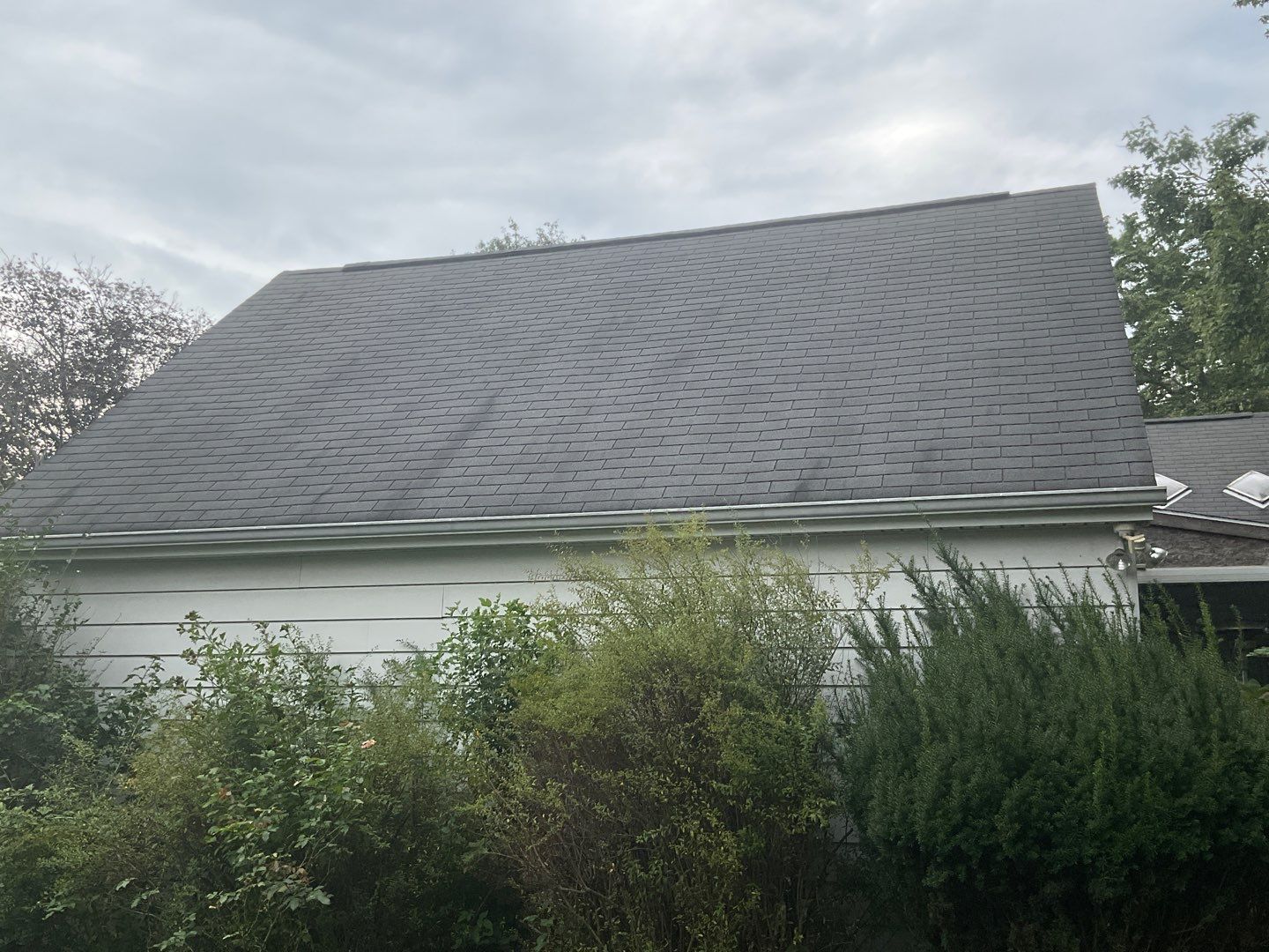 New Siding Installation  by Alpha Design Services