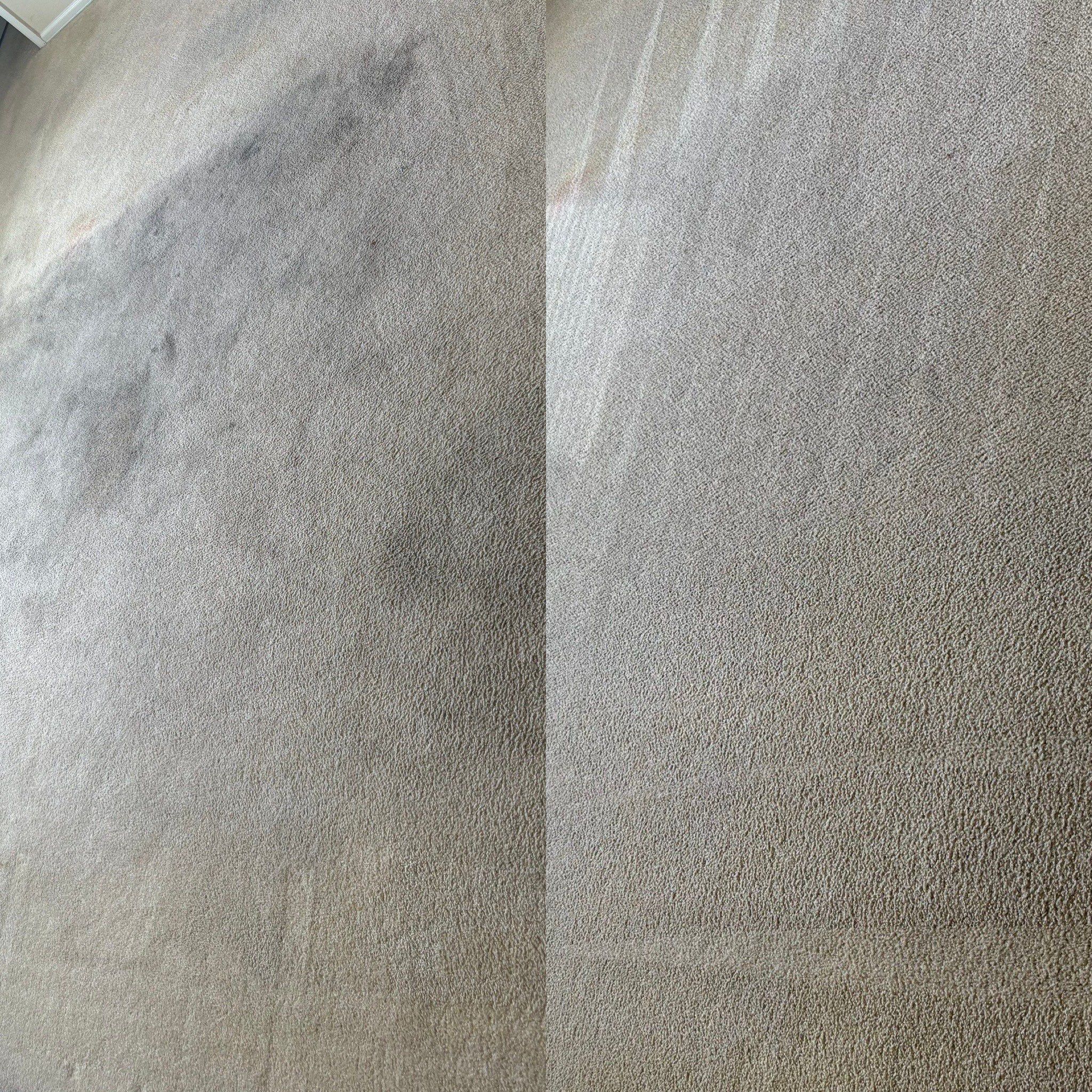 the service is deep carpet cleaning removing stains and restoring the carpet's original appearance and texture