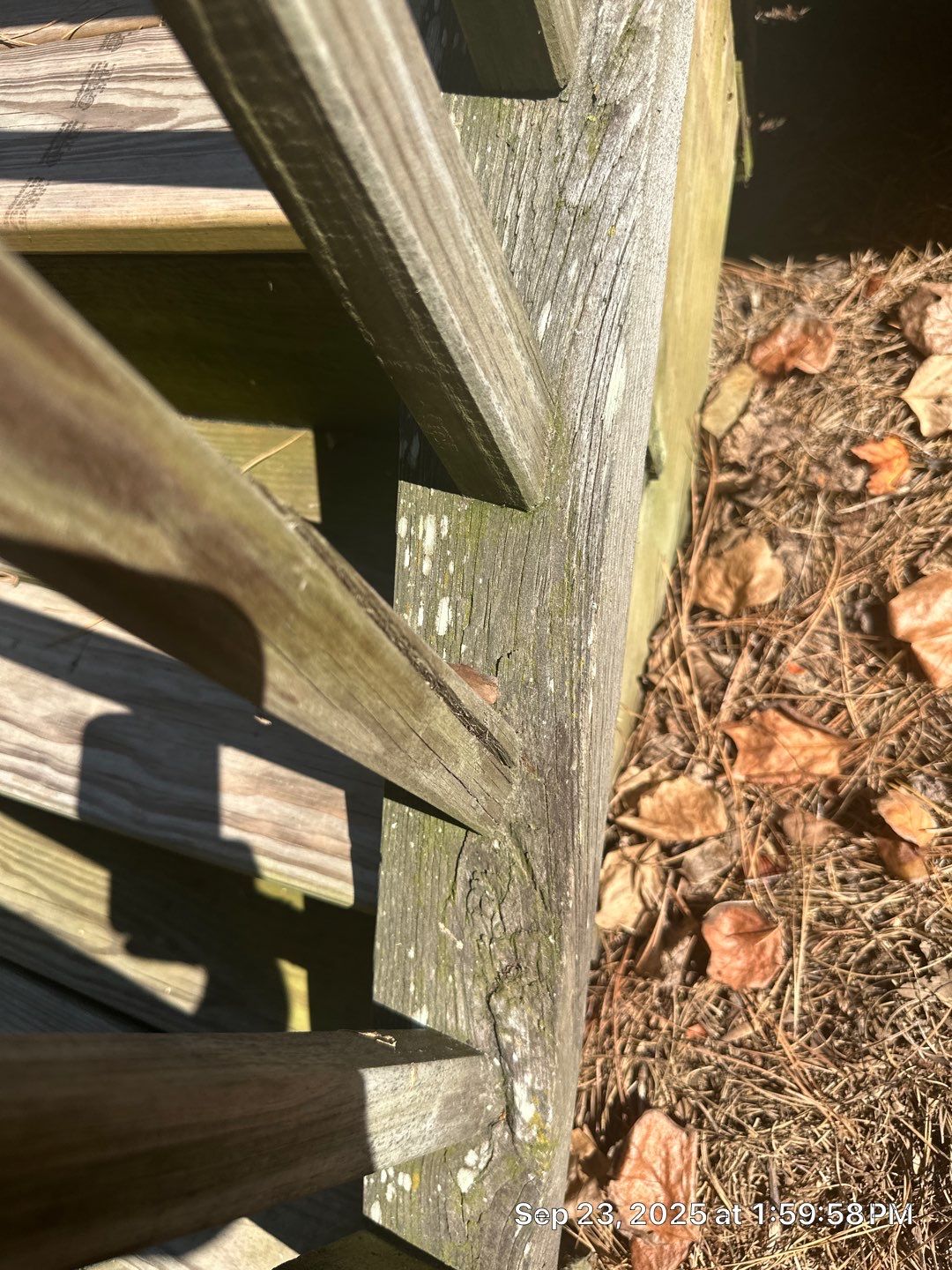 Wood Deck using Wood Sealant by DuraSeal