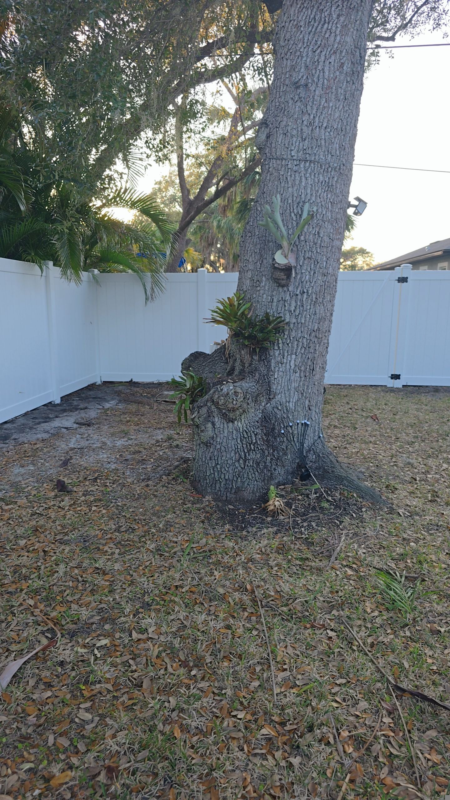 White Vinyl Fence in Port Charlotte by True Fence LLC