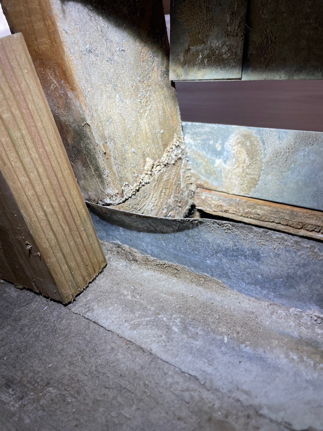 Mold Damage Project in Littleton by Accountable Home Services