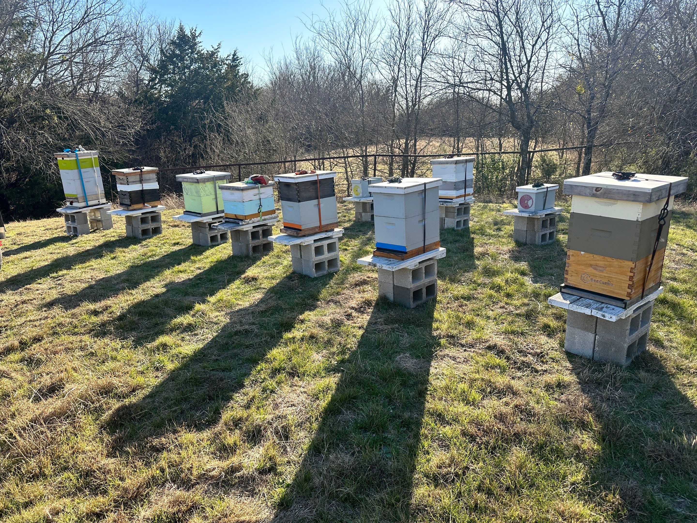 Bees for Ag. Exemption in Heath by Rockwall Honey Bee Company