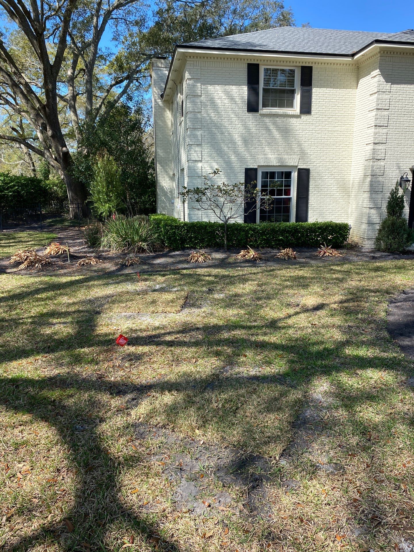 Deerwood Resident | Tree Service by ProGreen Services