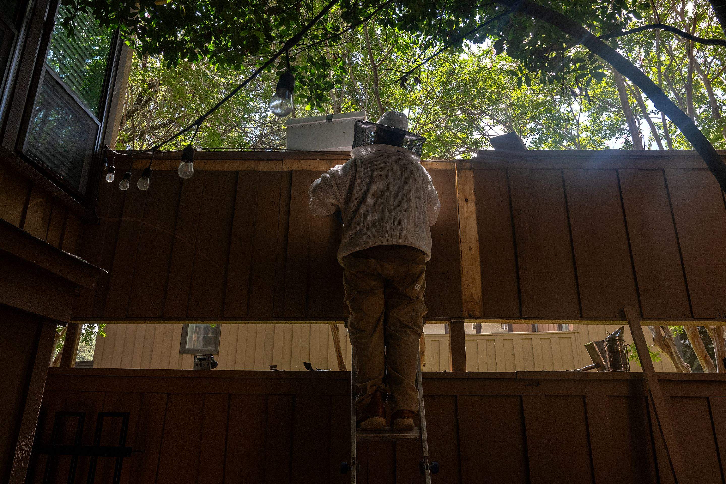 Condo Patio by Rockwall Honey Bee Company