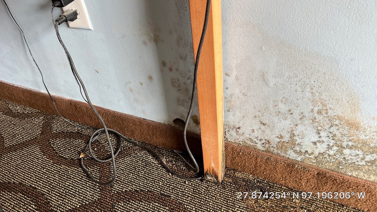 OH No, OYO! by Bayfront Roofing and Construction