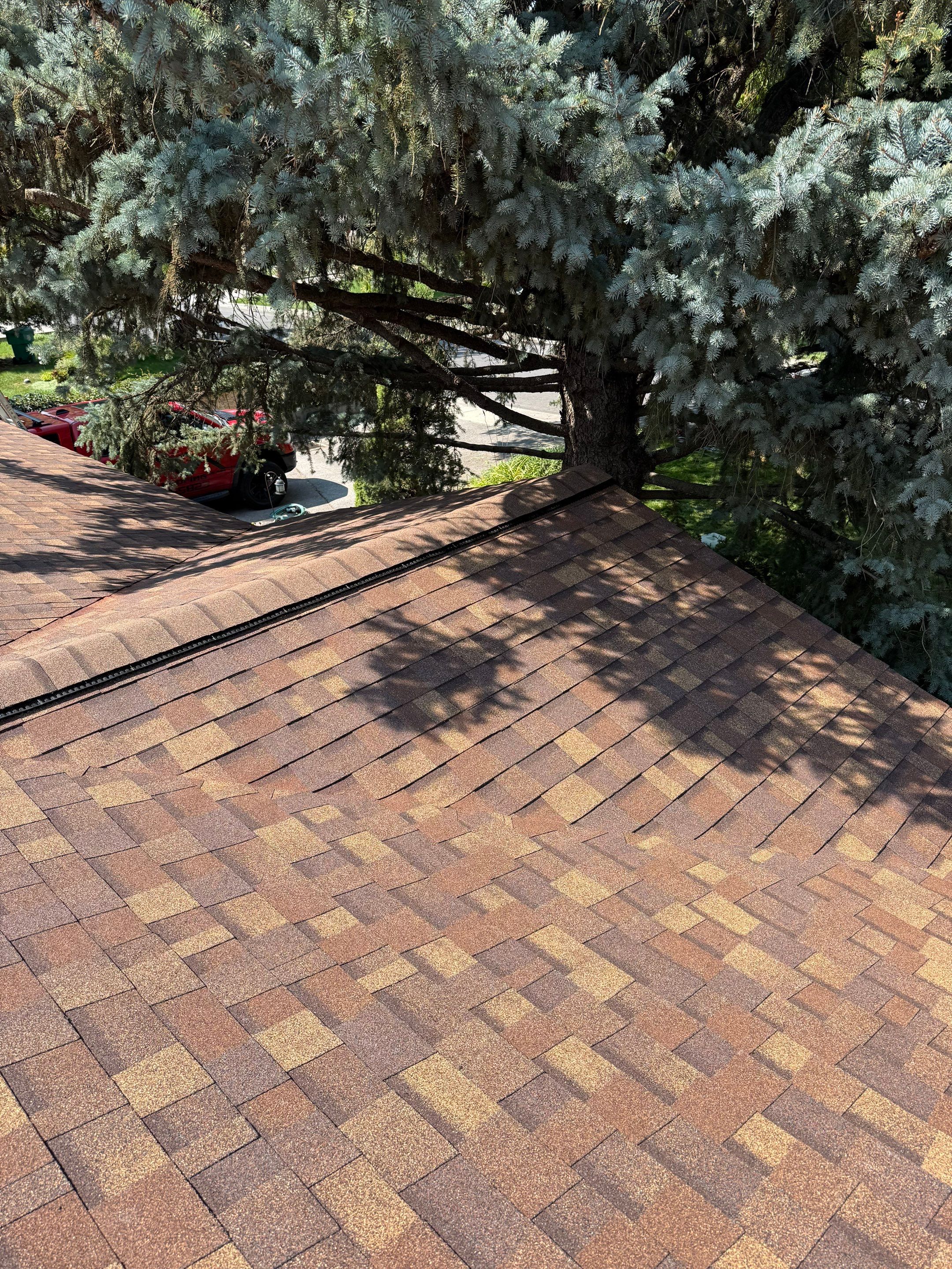 Roofing by Go Pro Roofing