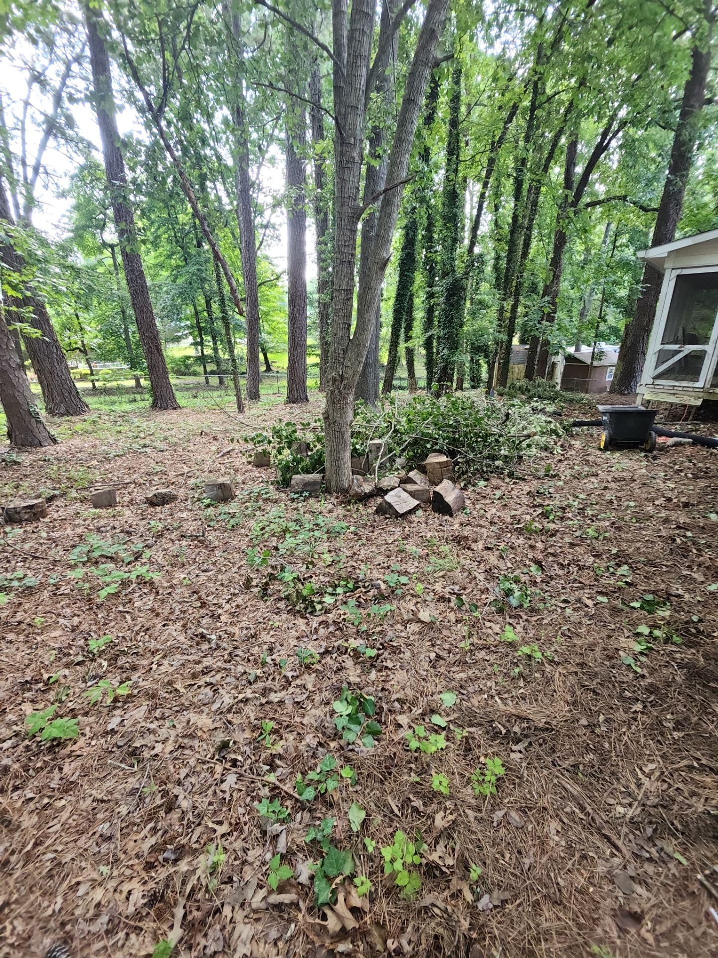 Project in Riverdale, GA by Task Masters Handyman Services, LLC