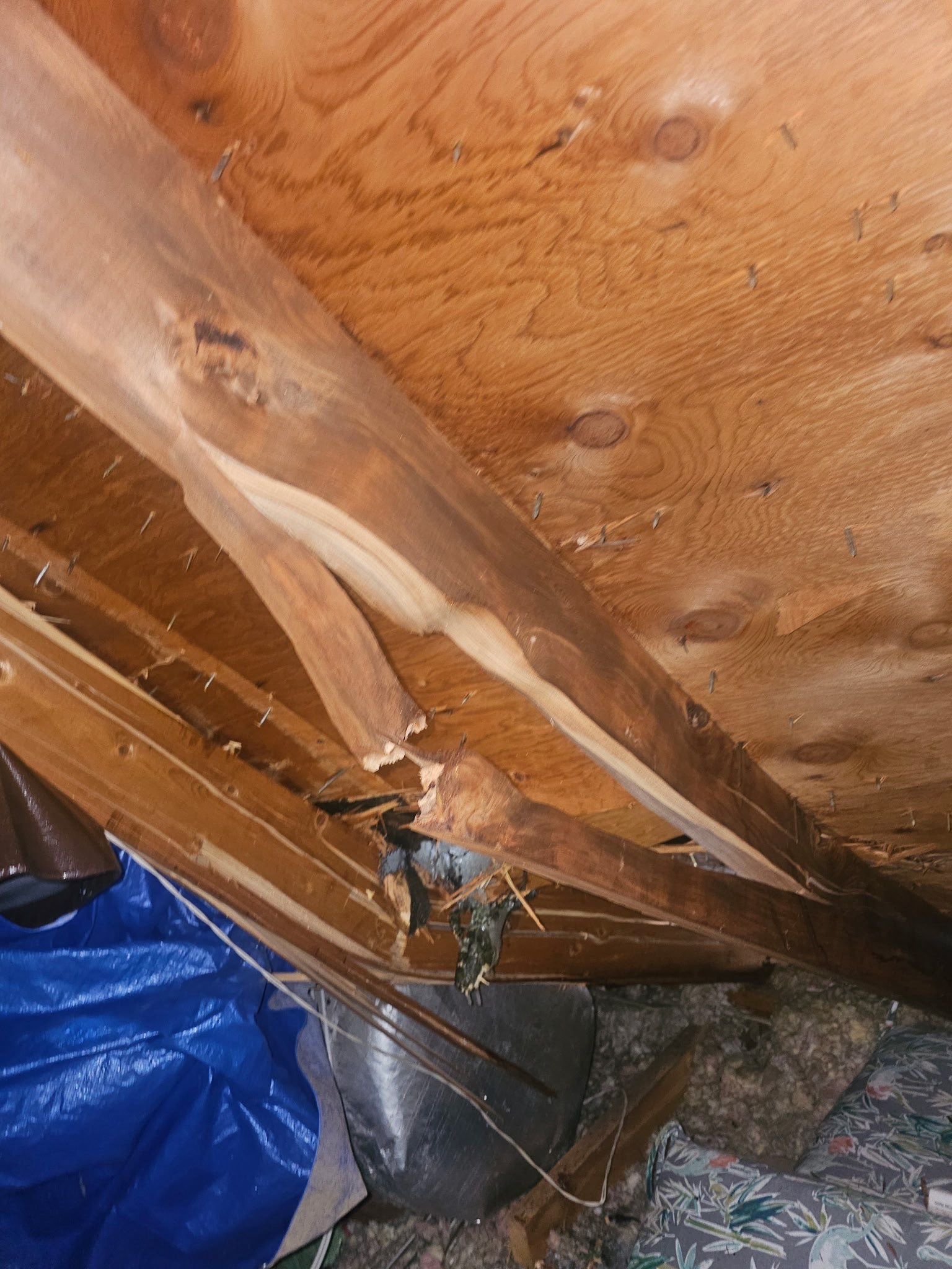 Roof Tree Damage- Repair Roof Framing and Replace Shingle Roof System In Belle Meade  by Roofworx 
