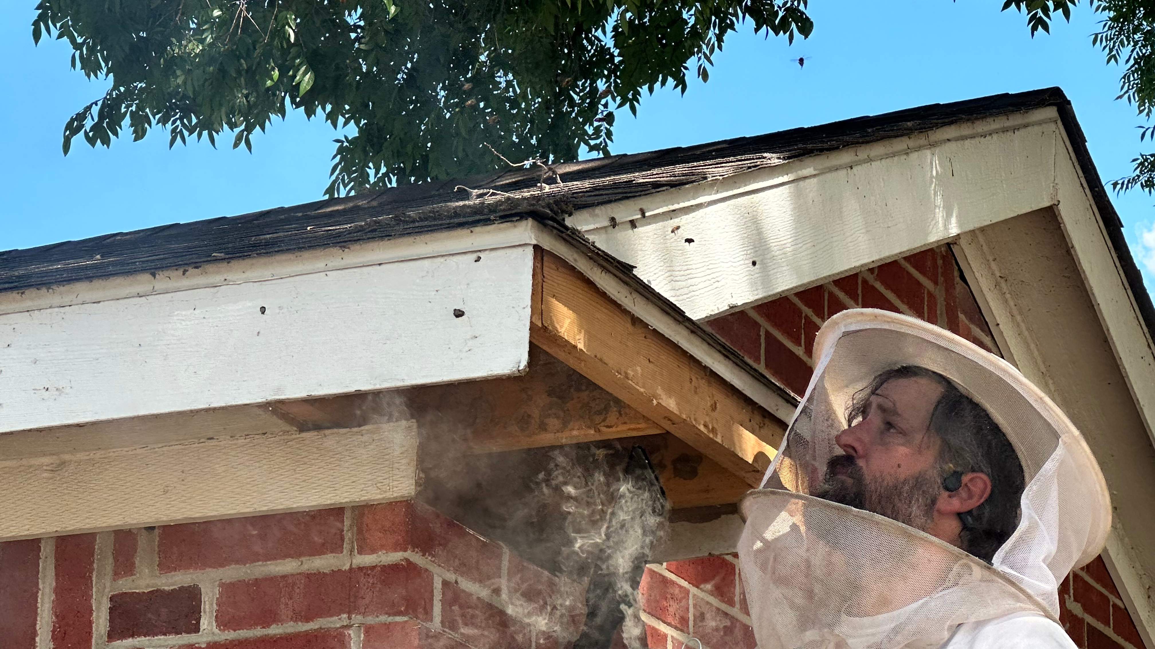 Soffits! by Rockwall Honey Bee Company