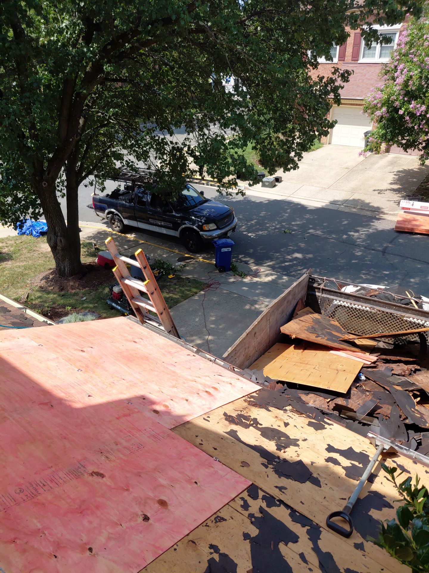 Alexandria: Residential Roof with CertainTeed Landmark Pro in Max Def Burnt Sienna by RM Banning, Inc.