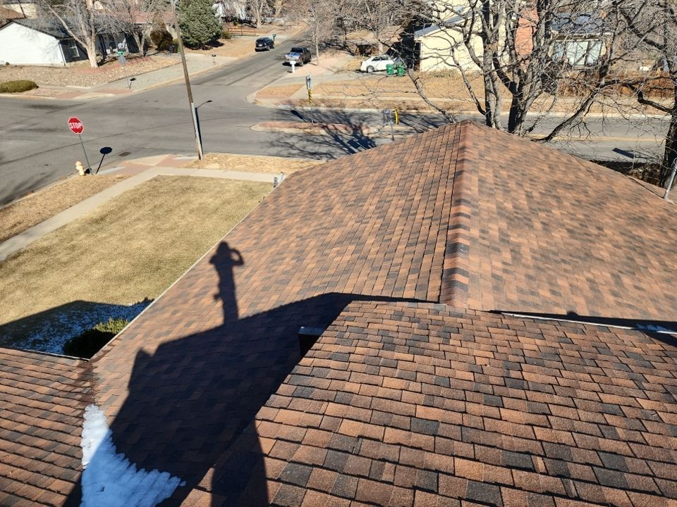 Desert Tan Shingles by Reimagine Roofing