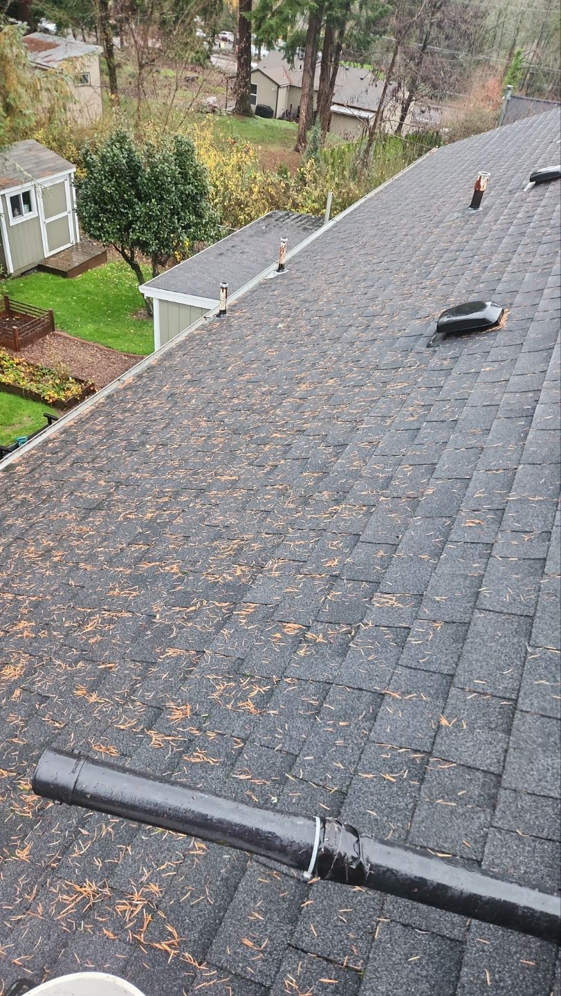Driveway Repair using Pressure washing no chemicals by Willamette Outdoor Wash LLC