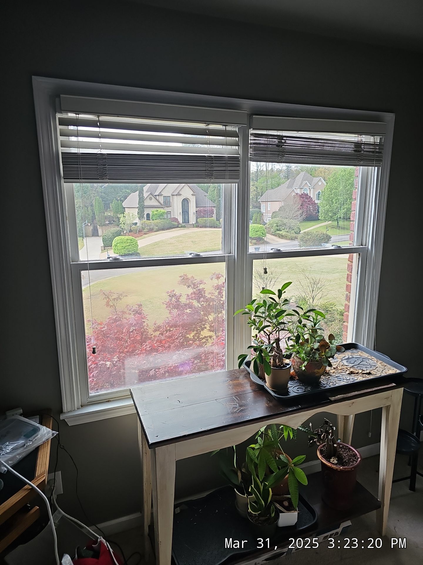 Hoyt Project in Birmingham by The Window Source