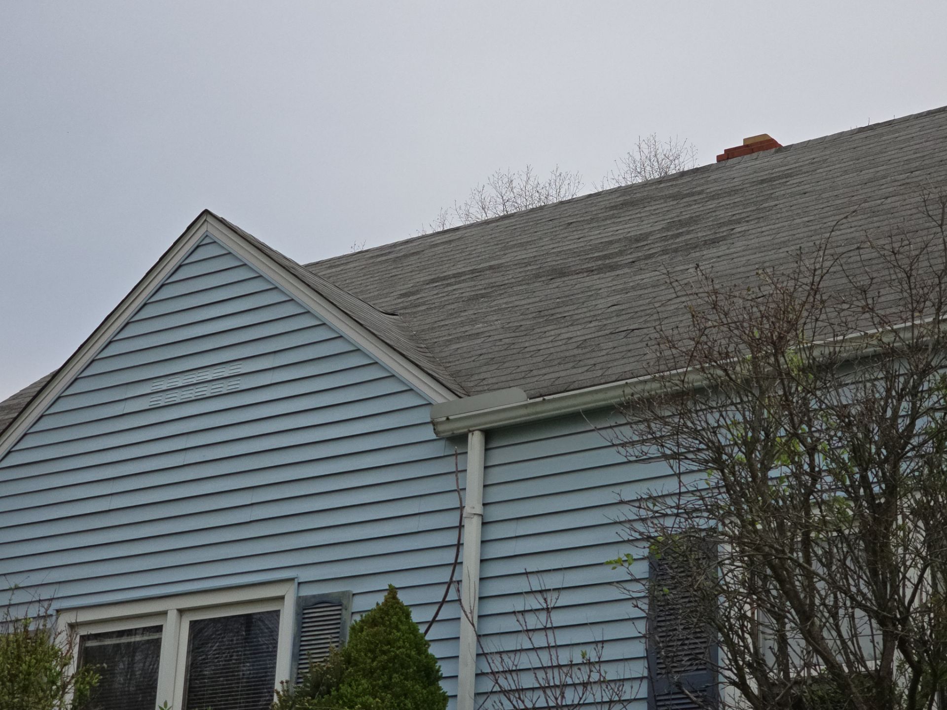 Judi C: Atlas Pinnacle, Color, Coastal Granite, Drip Edge, Color, Black by Eagle Eye Roofing