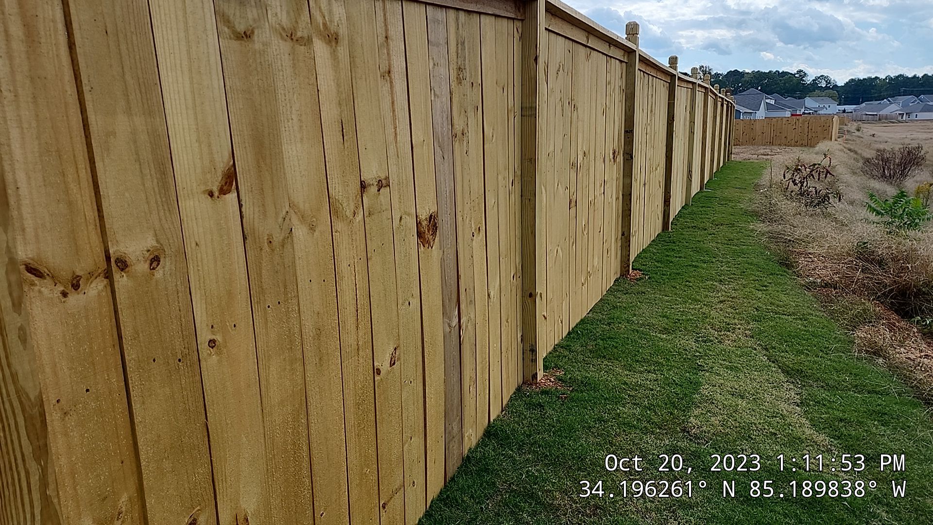 Fence Staining using Chestnut by SSE by Titans of Timber Fence & Stain
