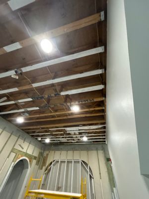 Mold Removal & Remediation In Sarasota