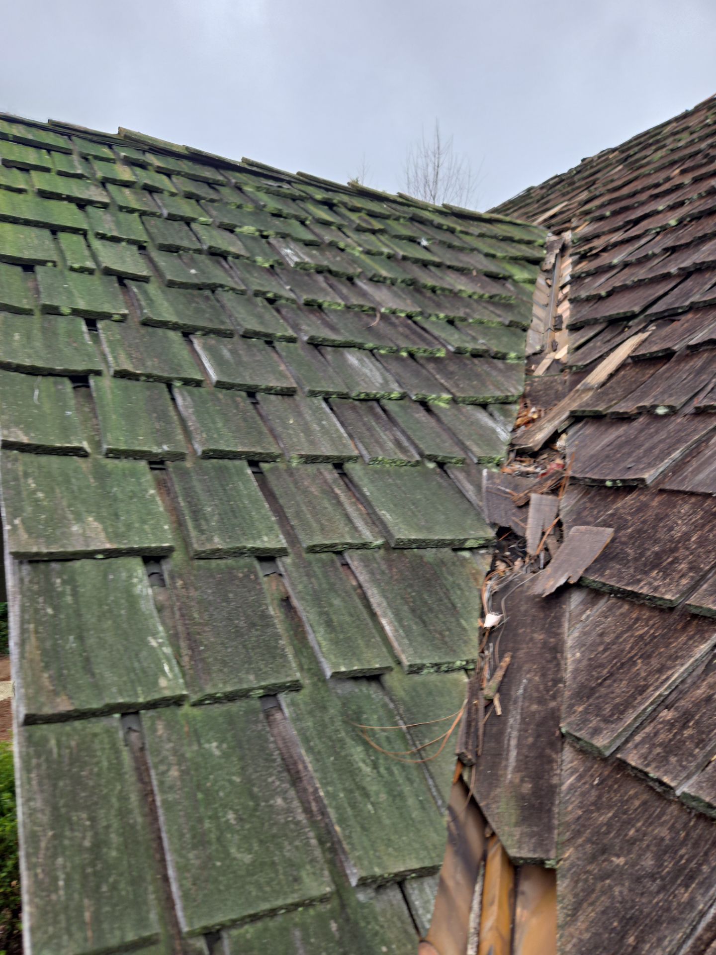 Asphalt Roof Replacement in Dadeville by NANOROOF Alabama