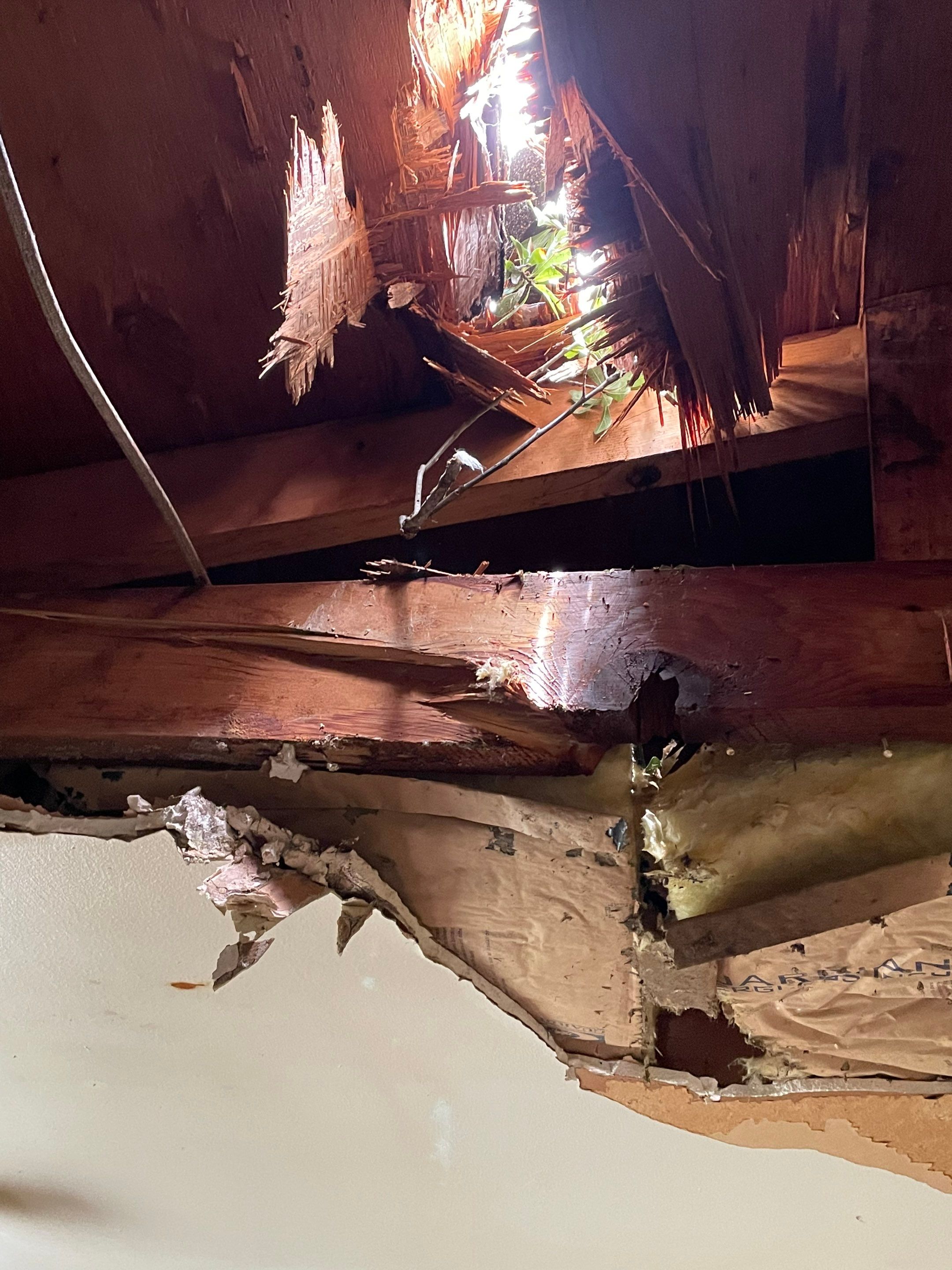 Residential Roofing Repair using Owen's Corning Duration (Lifetime) Shingles by Roof Repair Services LLC
