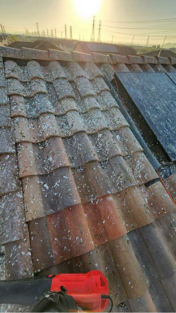 Bird Proofing Solar Panels in Ontario Ca by Palm Coast Solar Cleaning
