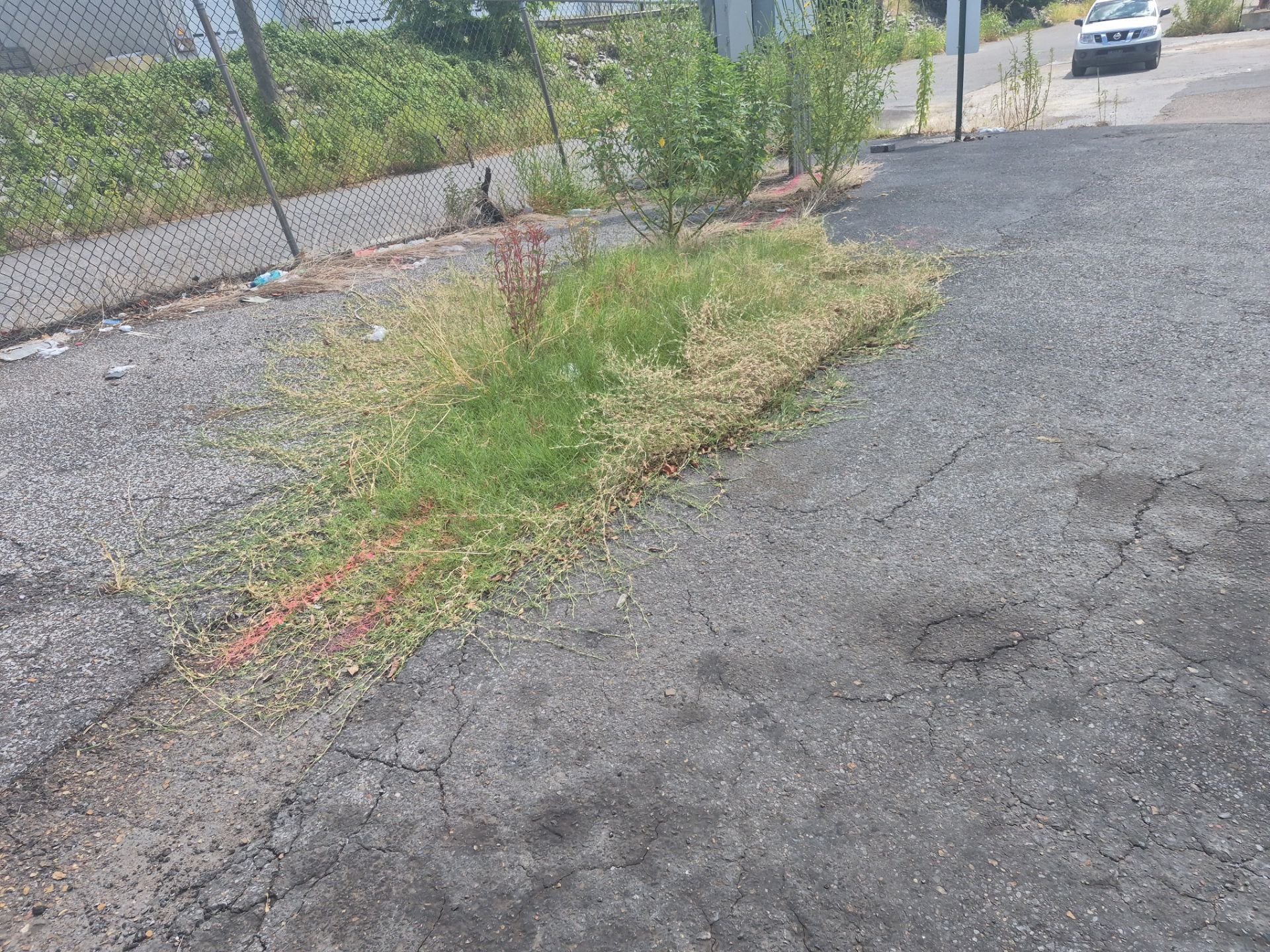 Utility Locate and Utility Mapping for Survey by Alsip Locating Service, LLC