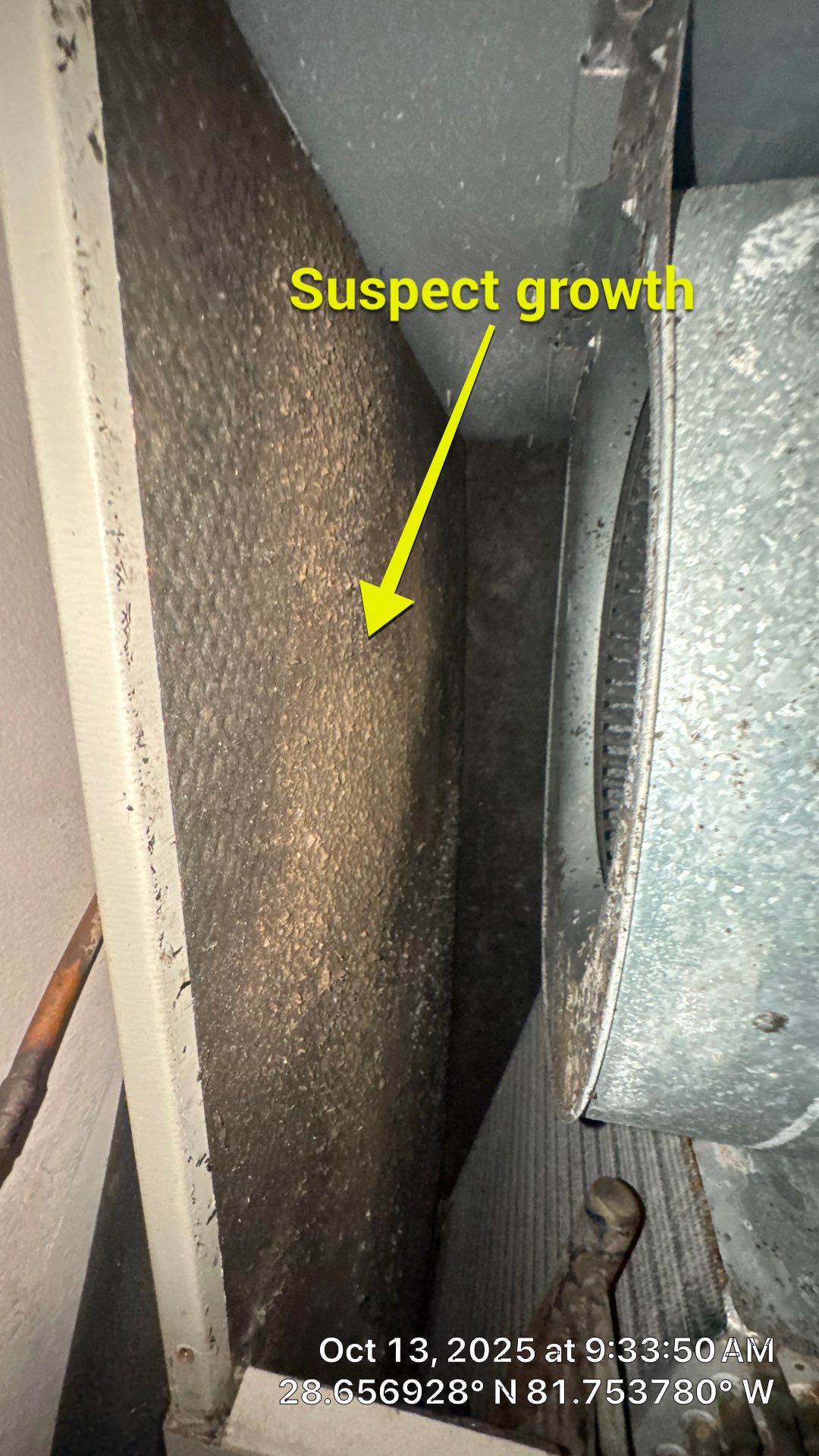 Air Duct Cleaning in Clermont by Hygienic Air, Inc